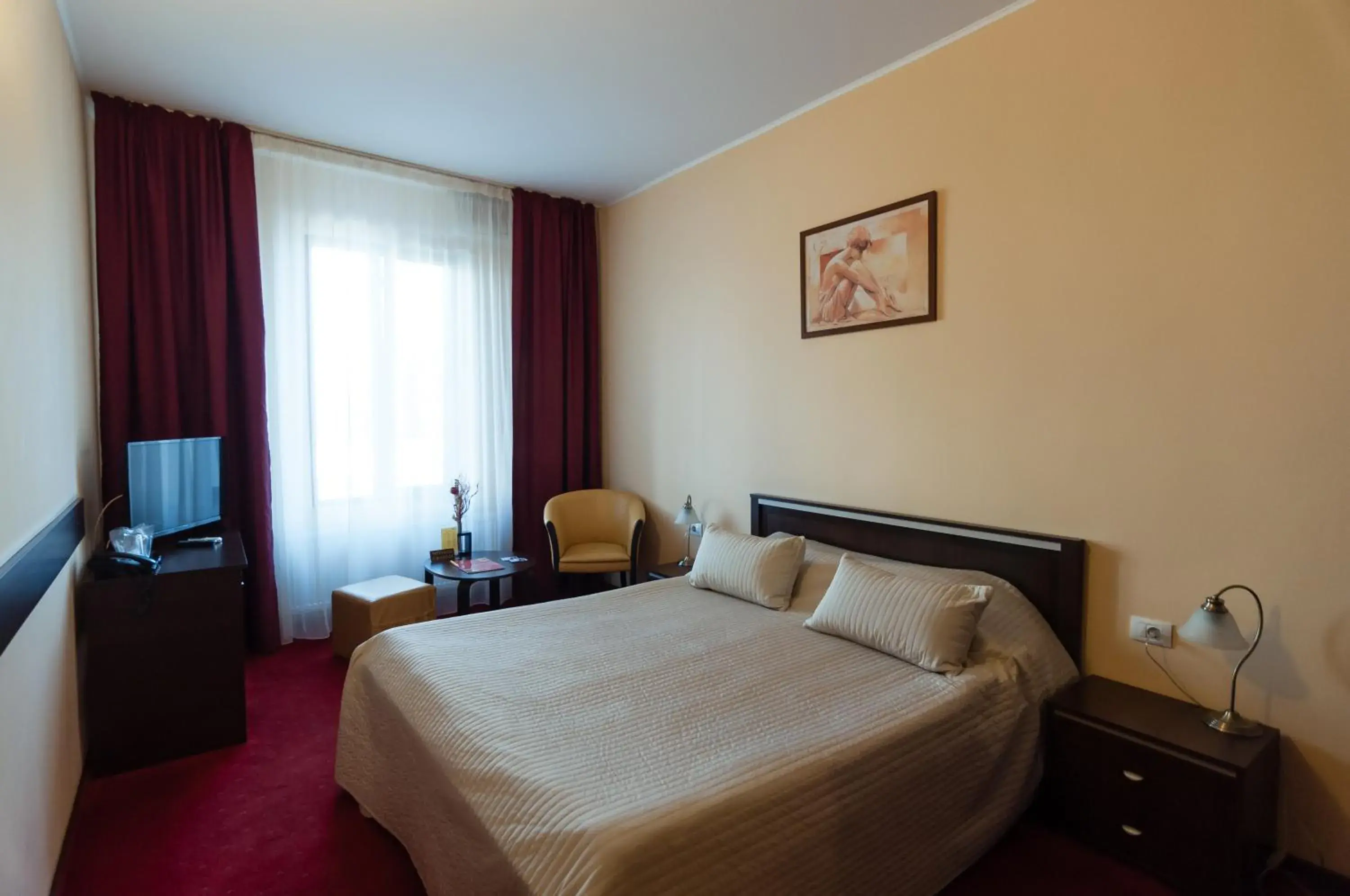Standard Double Room - single occupancy in Hotel Magnus Galati Standard Double Room - single occupancy in Hotel Magnus Galati