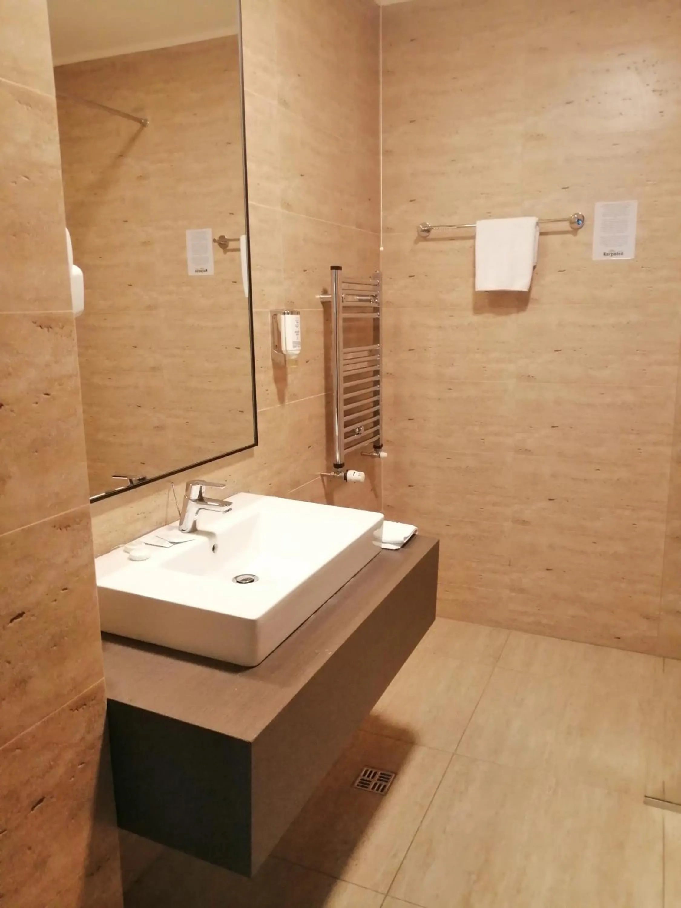 Shower in Hotel Piemonte