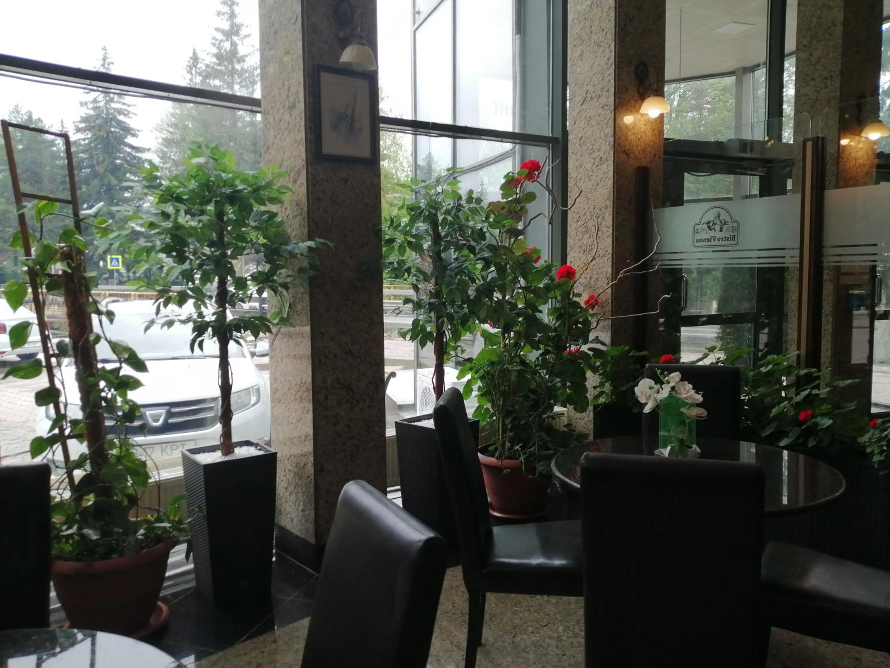 Lounge or bar in Hotel Piemonte