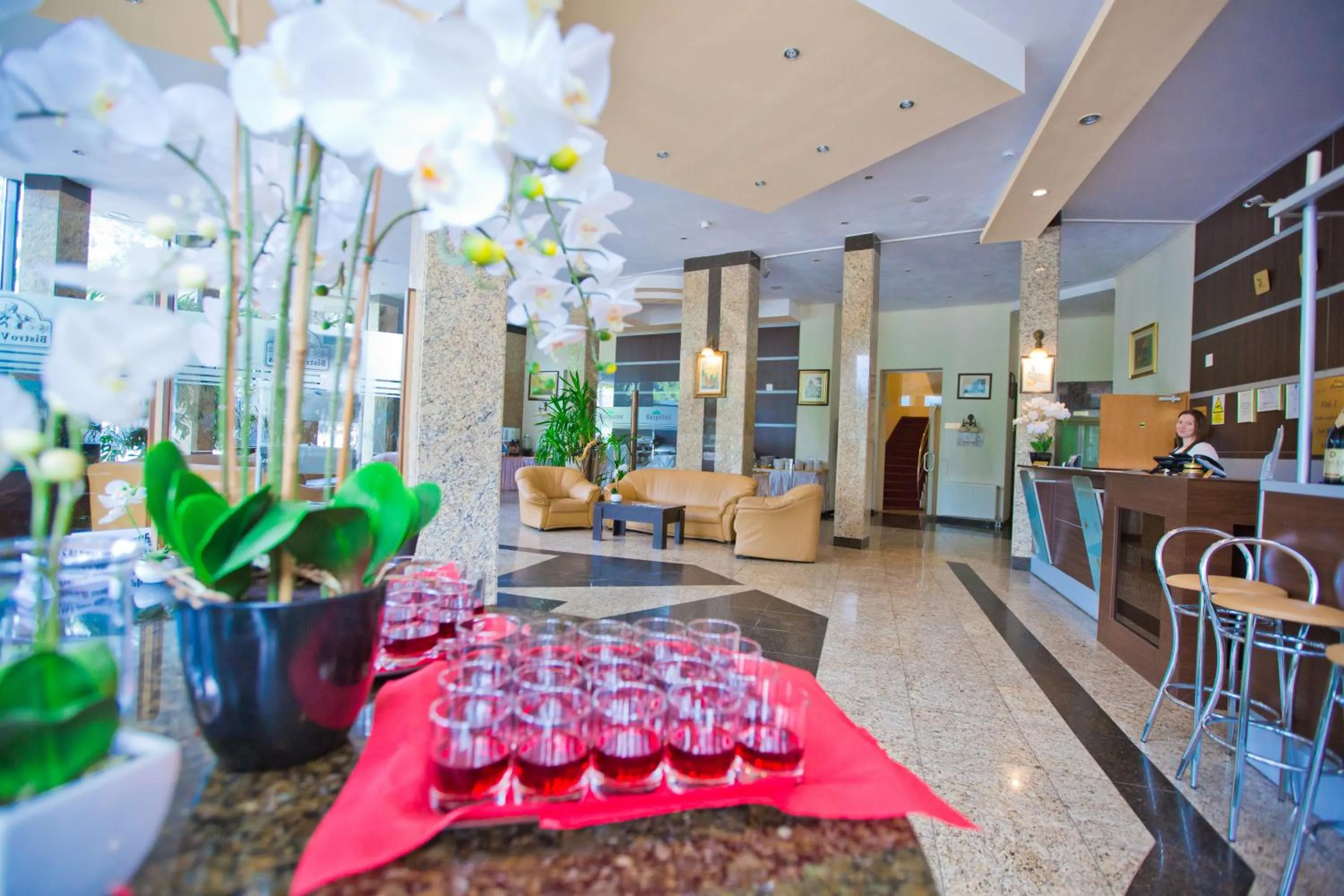 Lobby or reception in Hotel Piemonte