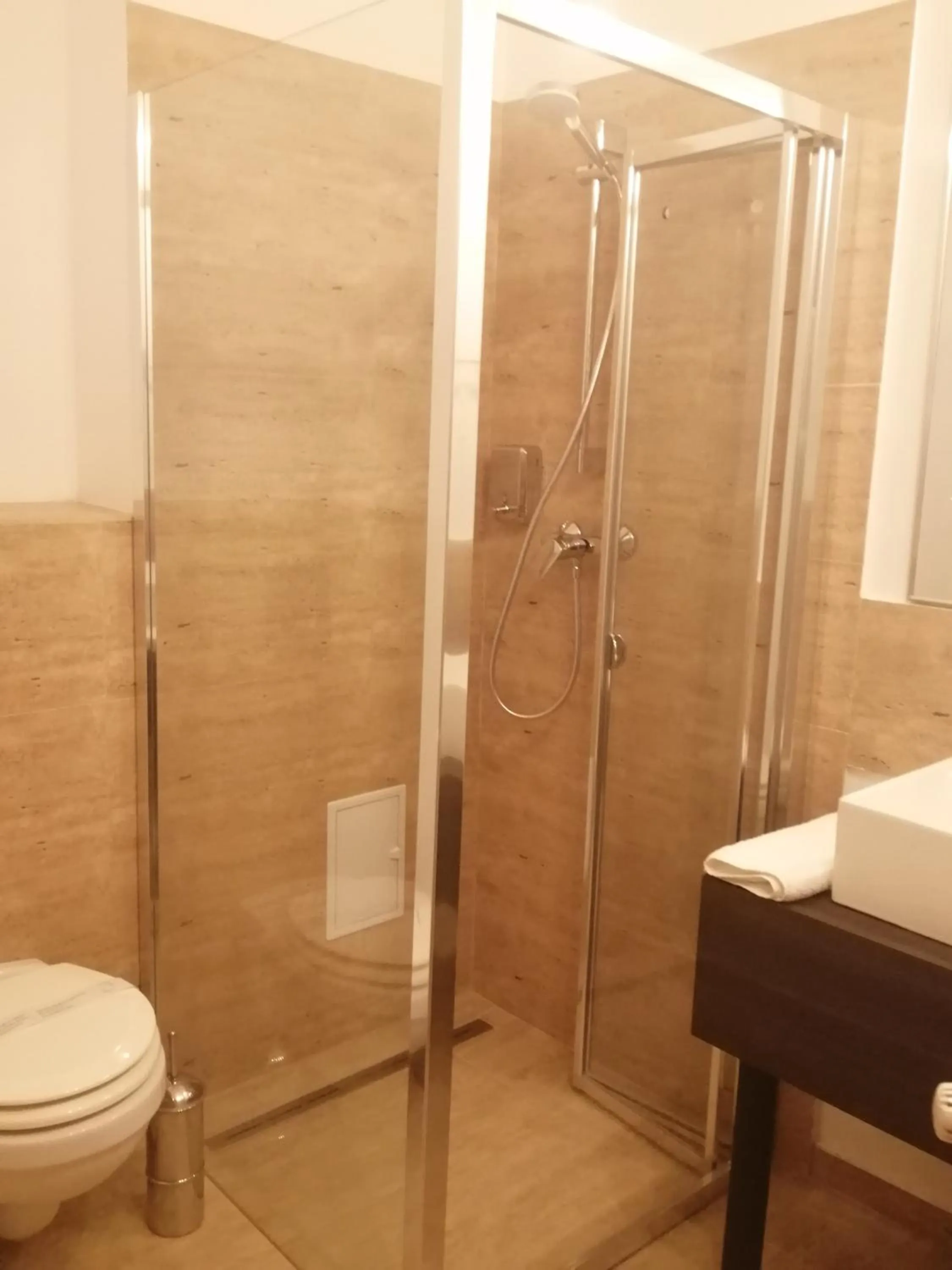 Shower in Hotel Piemonte