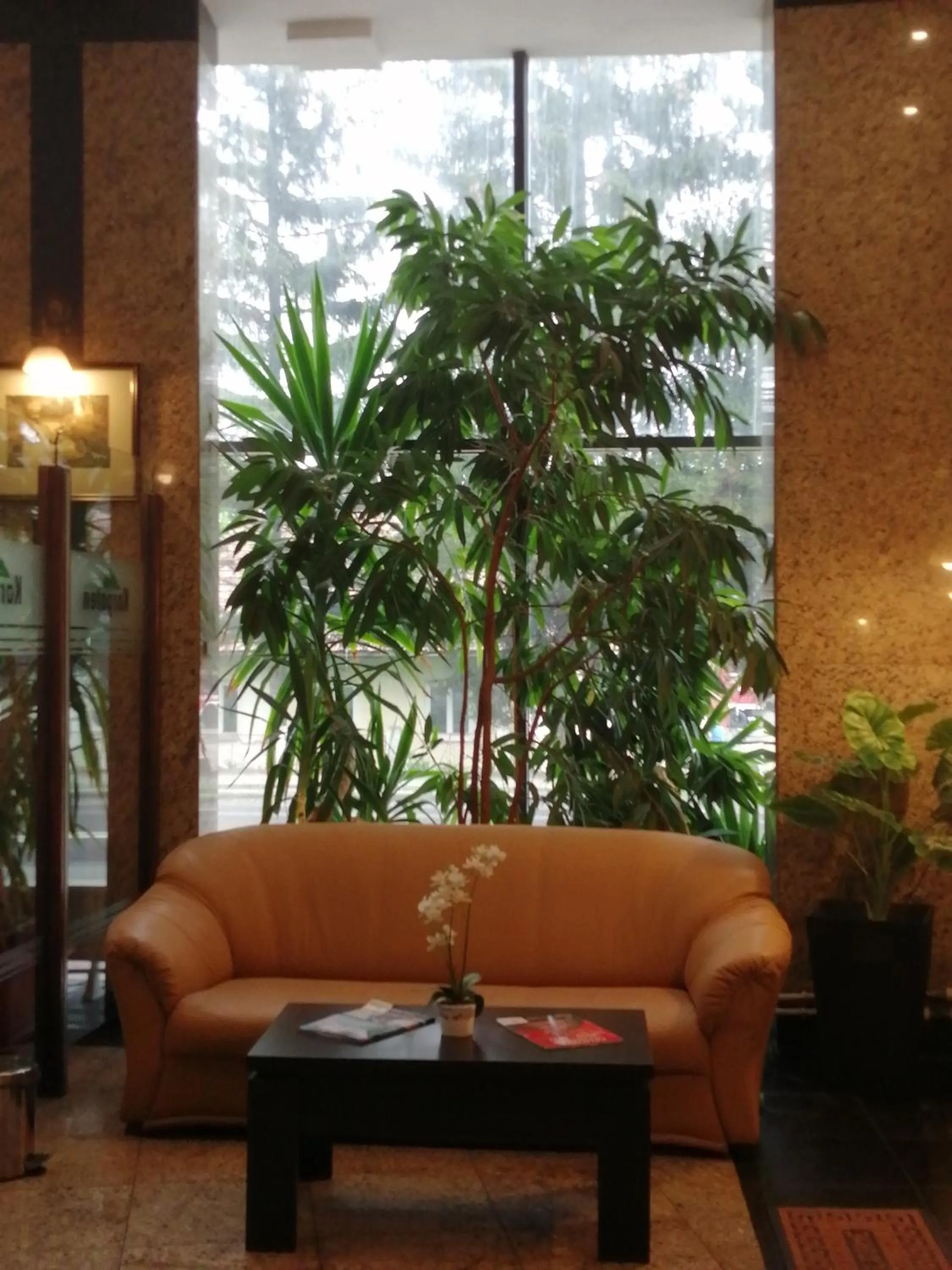 Lobby or reception in Hotel Piemonte