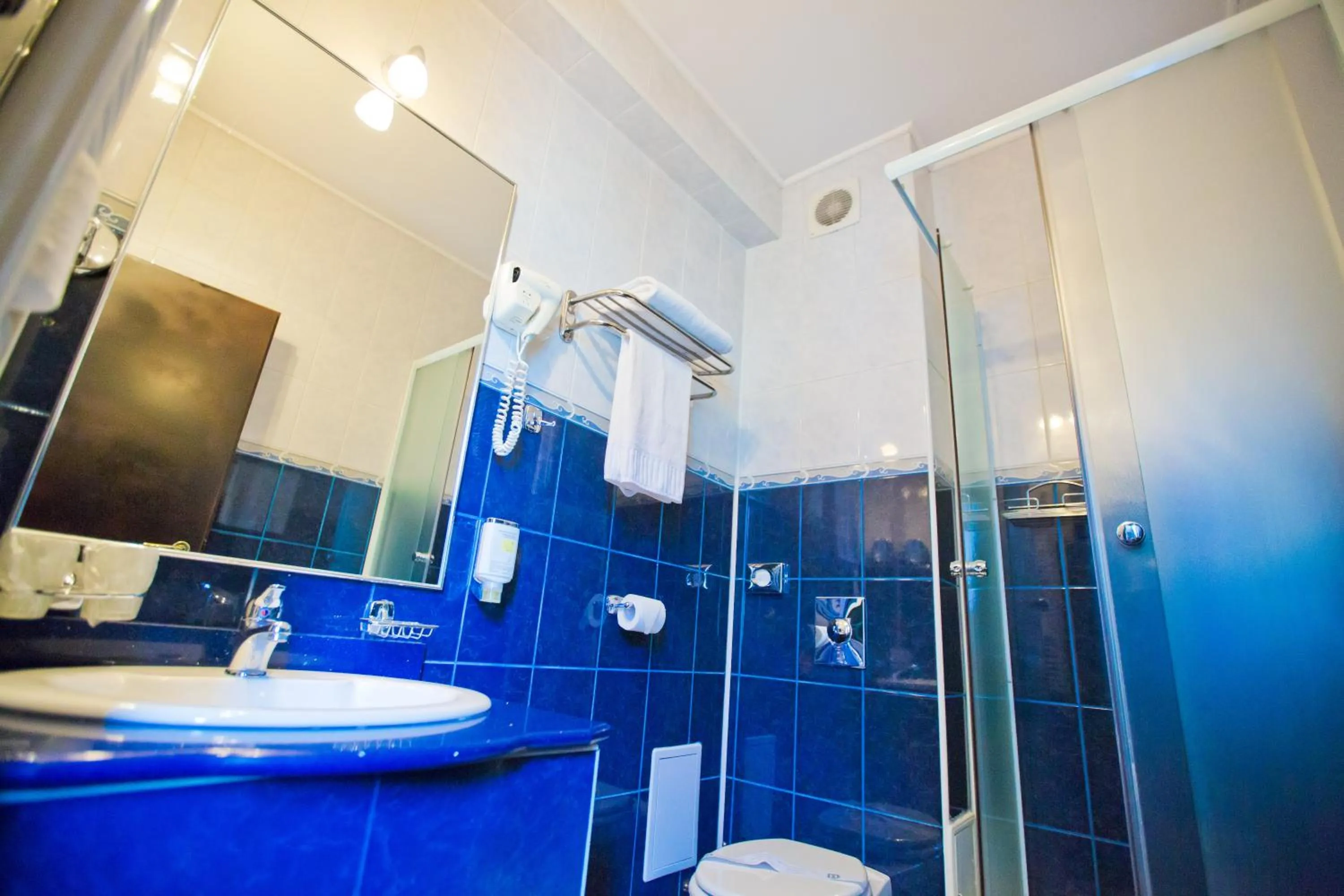 Shower in Hotel Piemonte