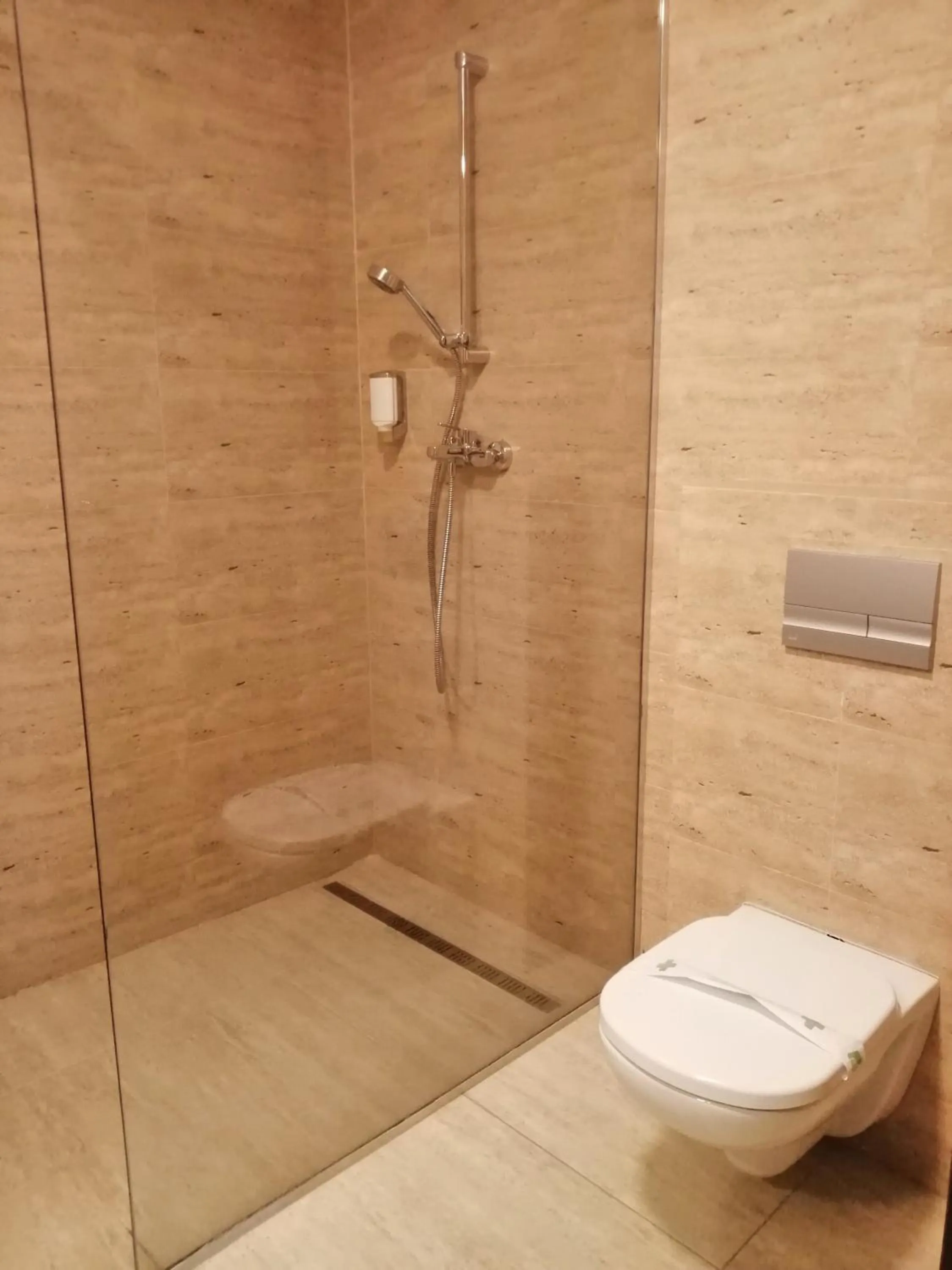 Toilet in Hotel Piemonte