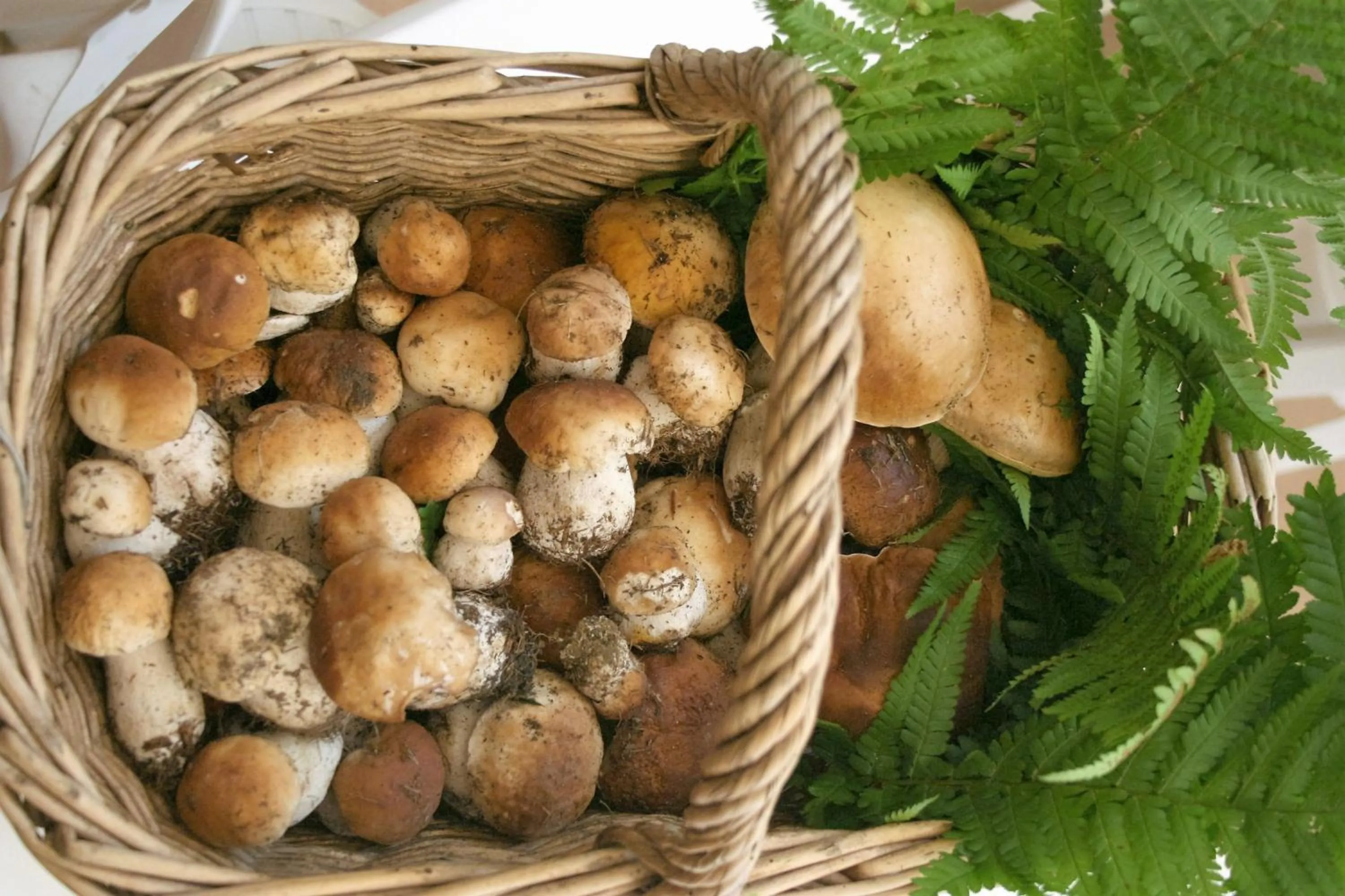 Food in Hotel Centro