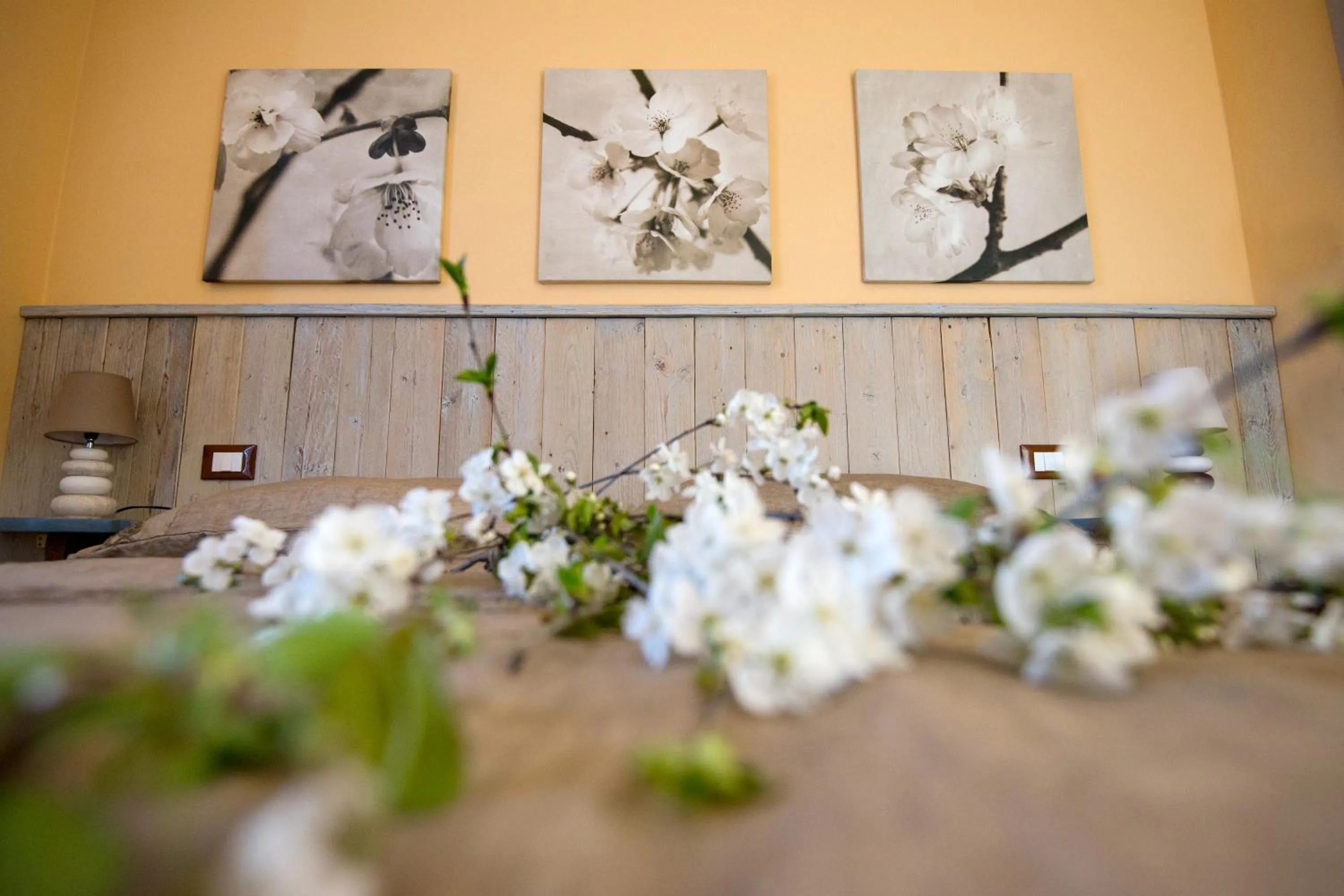 Decorative detail in Leonardo Resort