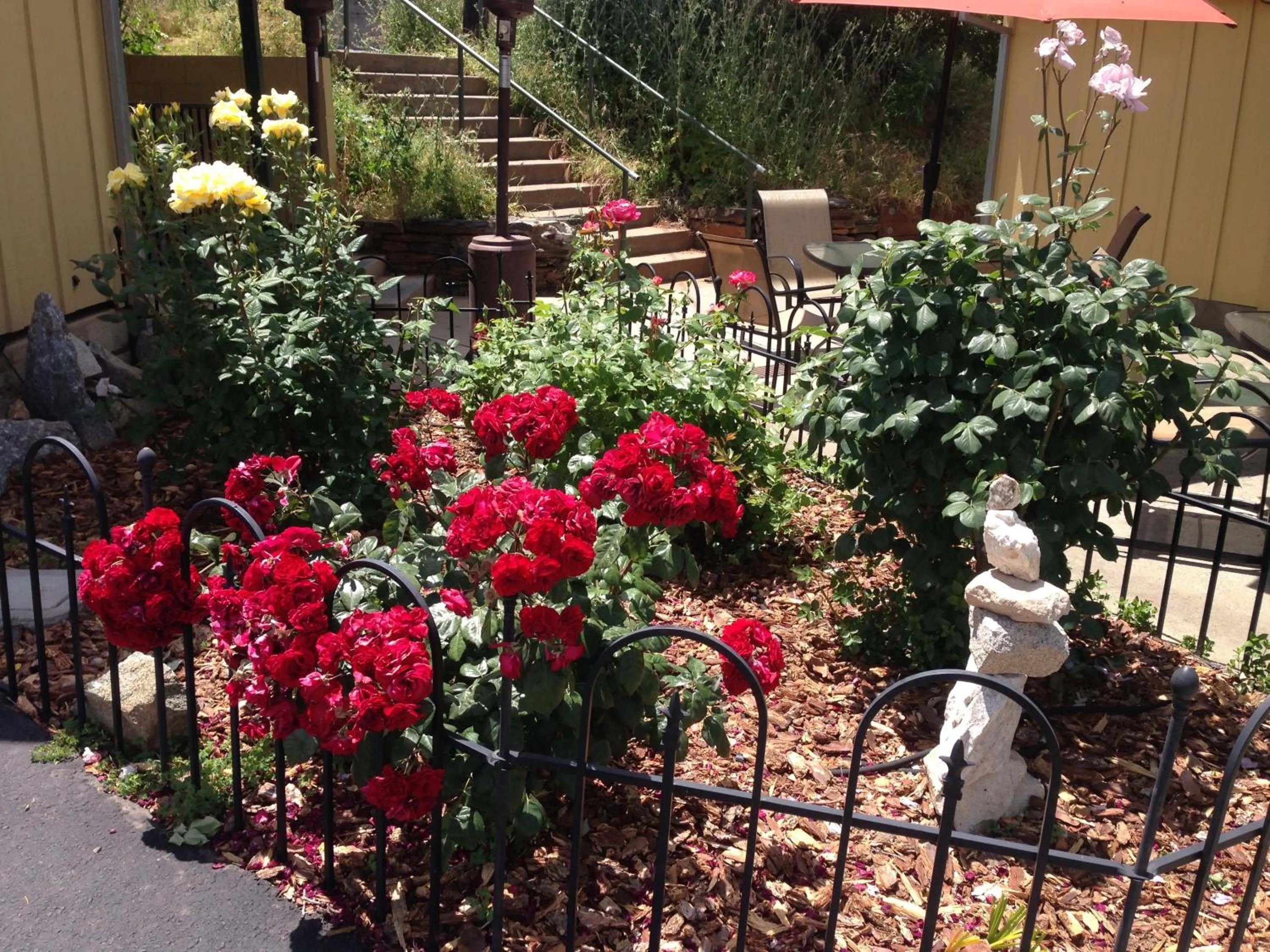Garden in Priest Station Cafe & Cabins
