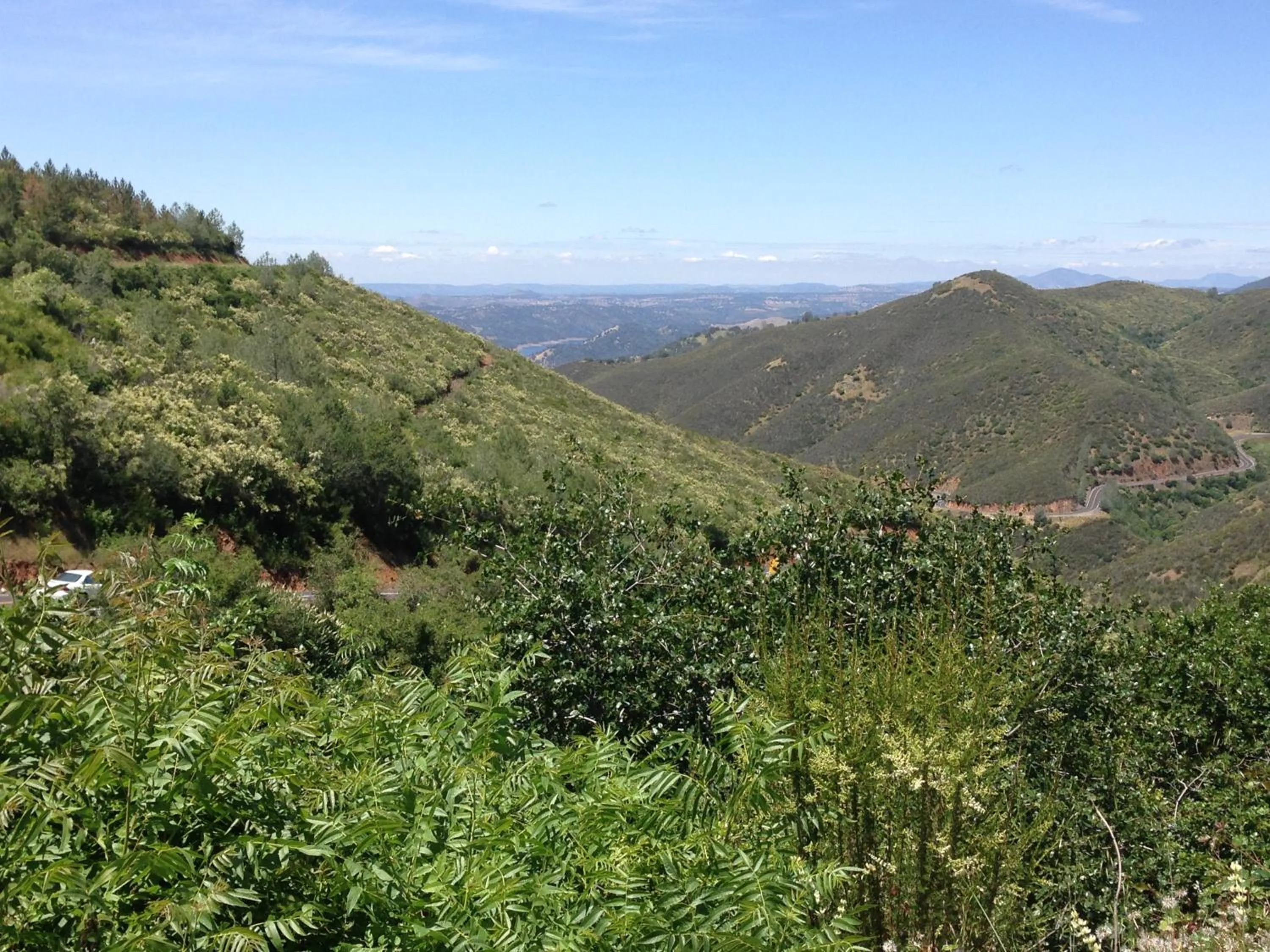 Natural landscape in Priest Station Cafe & Cabins