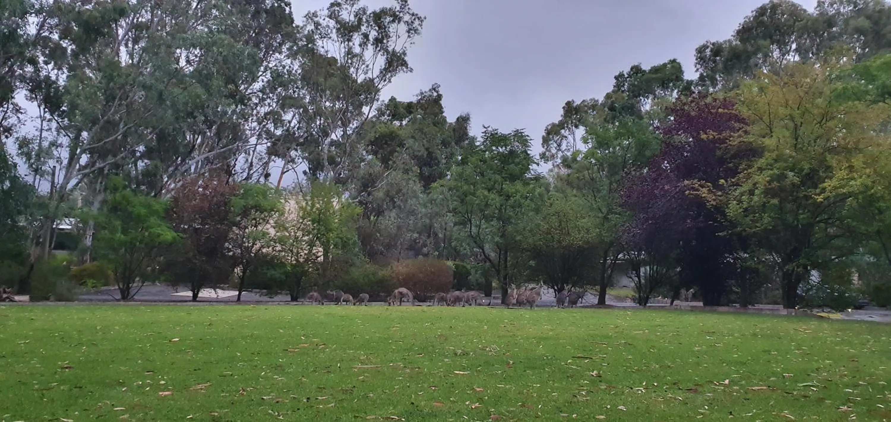 Garden in A-Line Holiday Park