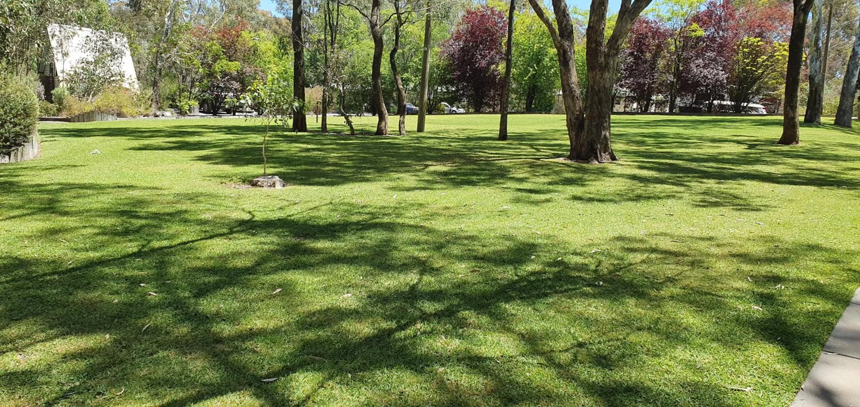 Garden in A-Line Holiday Park