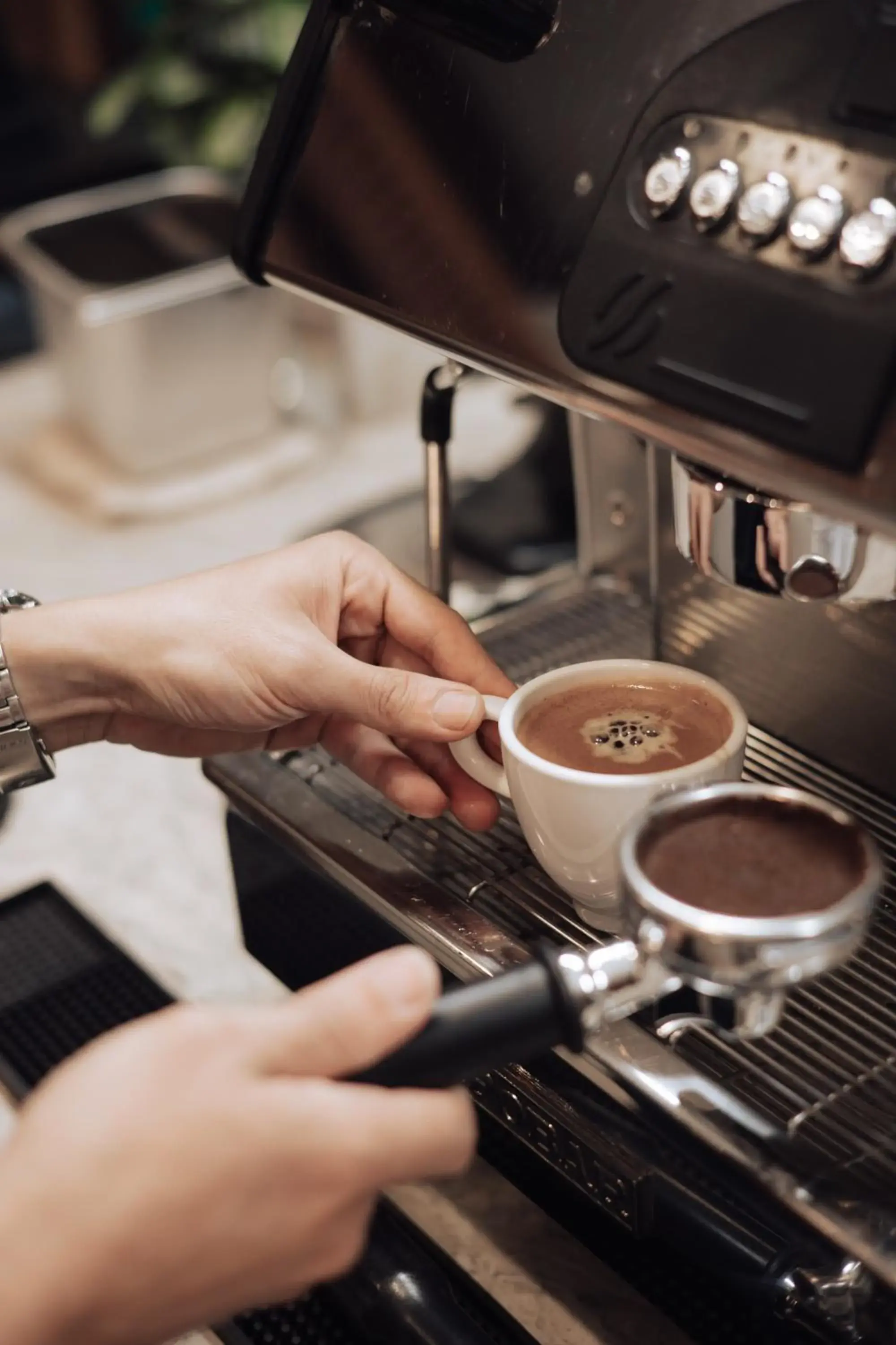 Food and drinks in Danaciti Hotel Food and drinks in Danaciti Hotel