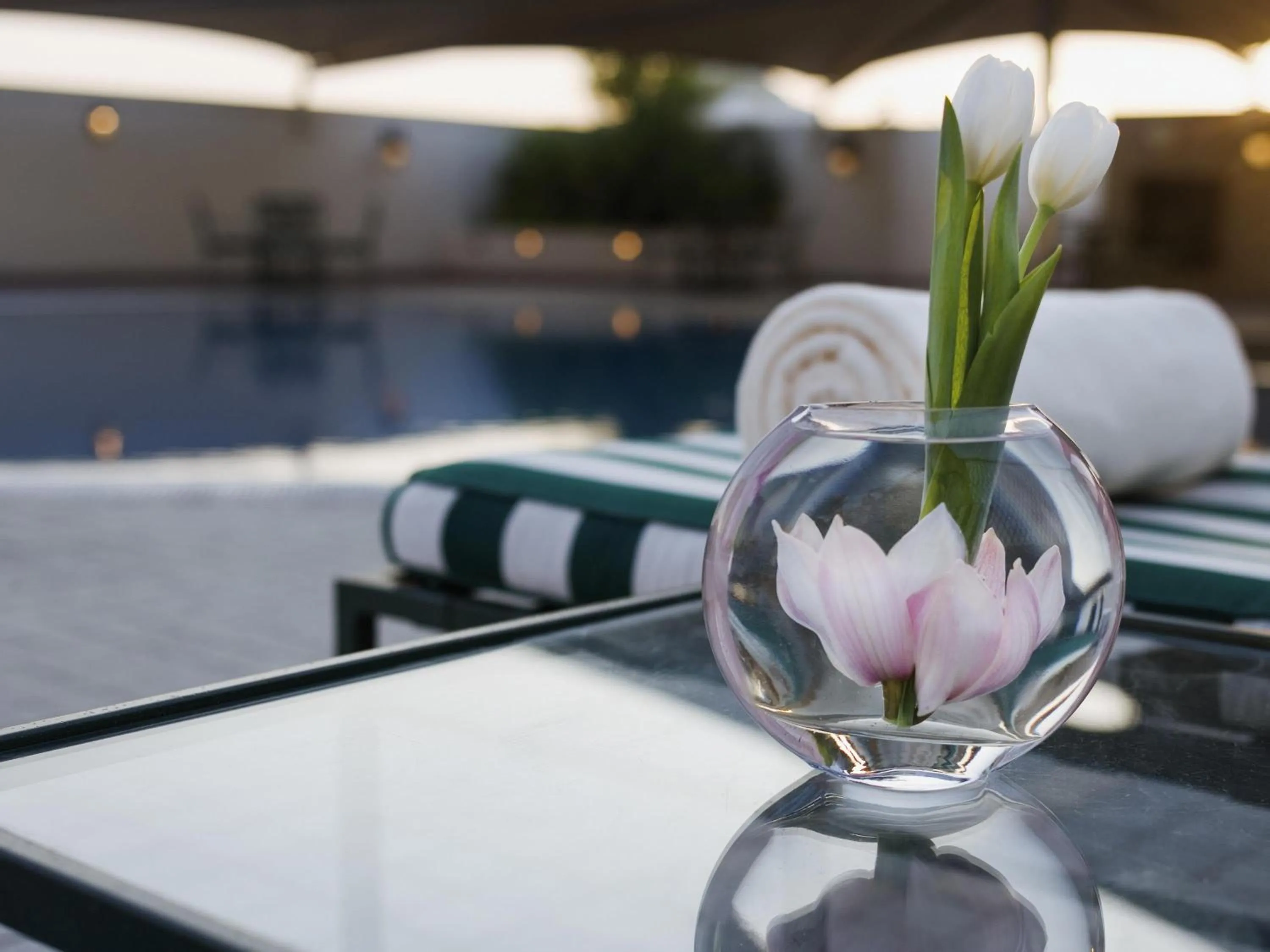 Other in Mövenpick Hotel City Star Jeddah