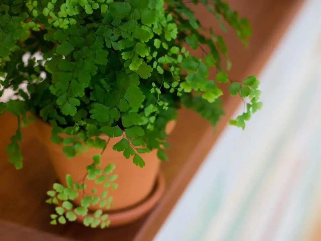 Living room in The Smugglers Rest