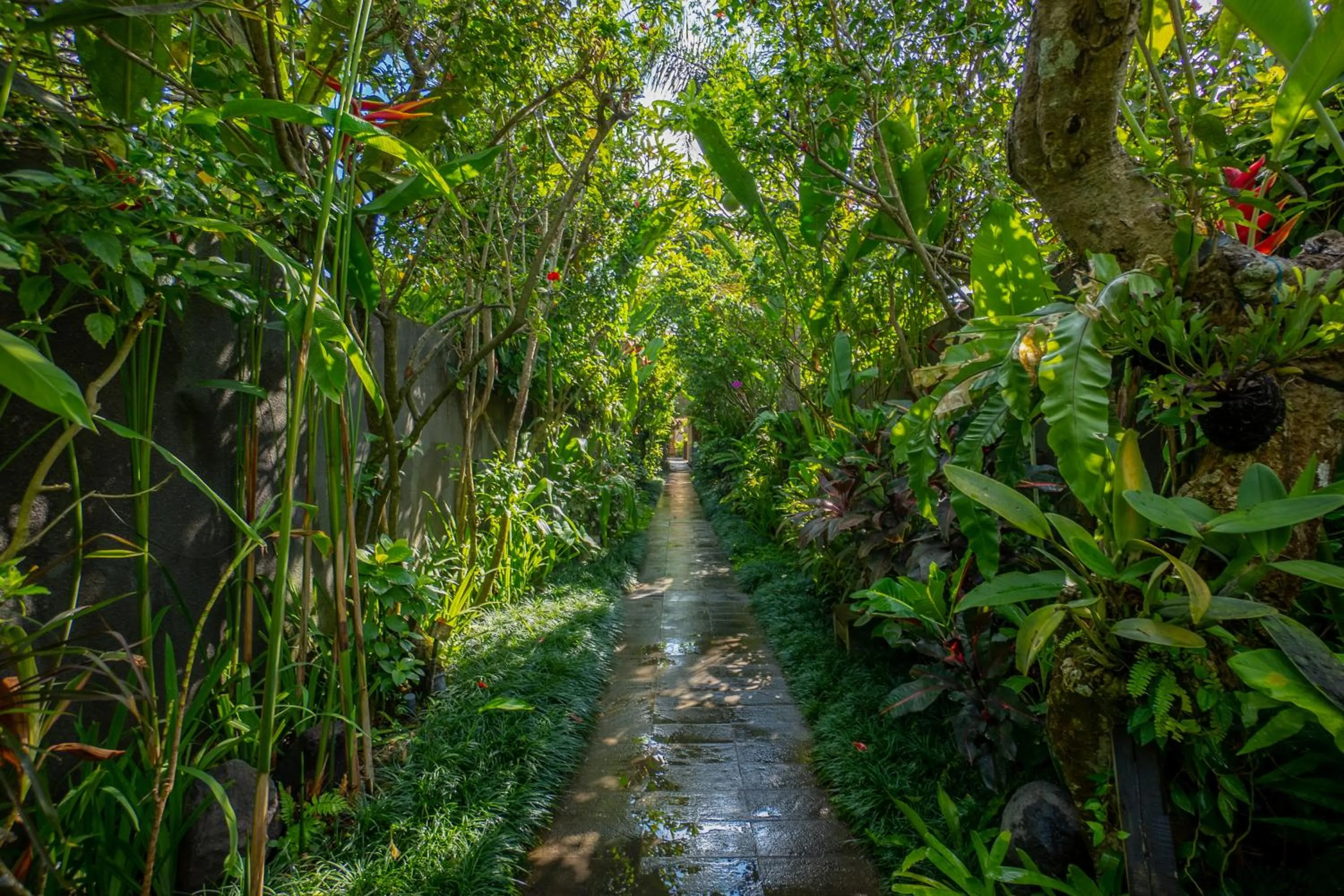 Garden in Purana Boutique Resort