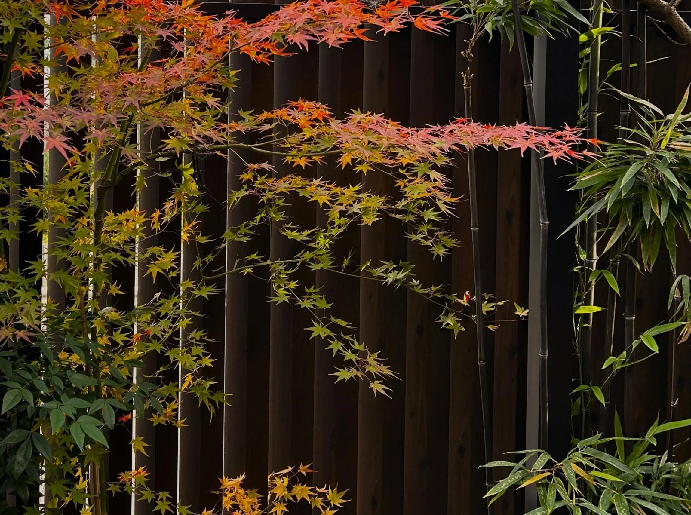 Day in Guest House Oumi