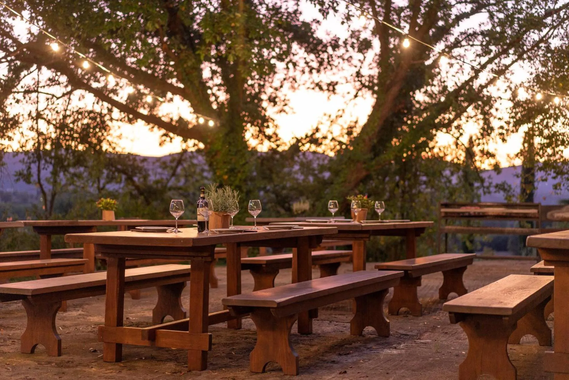 Restaurant/places to eat in Borgo San Lorenzo a Linari