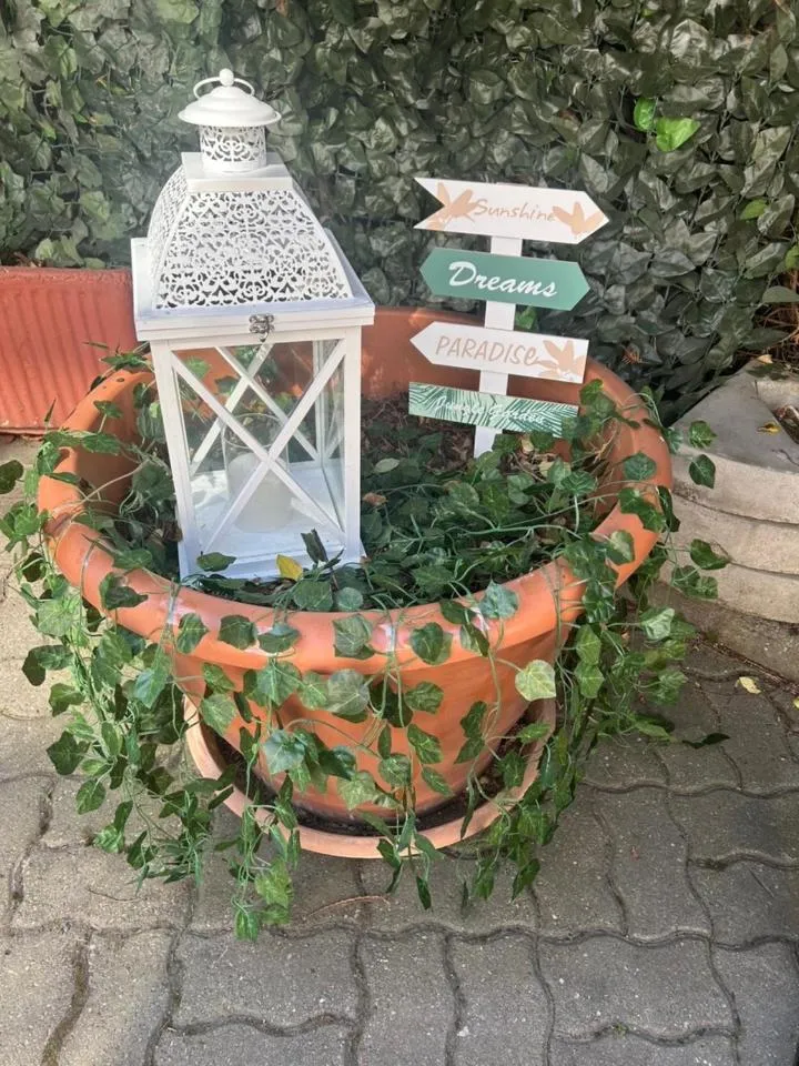 Garden in Hotel Pacific