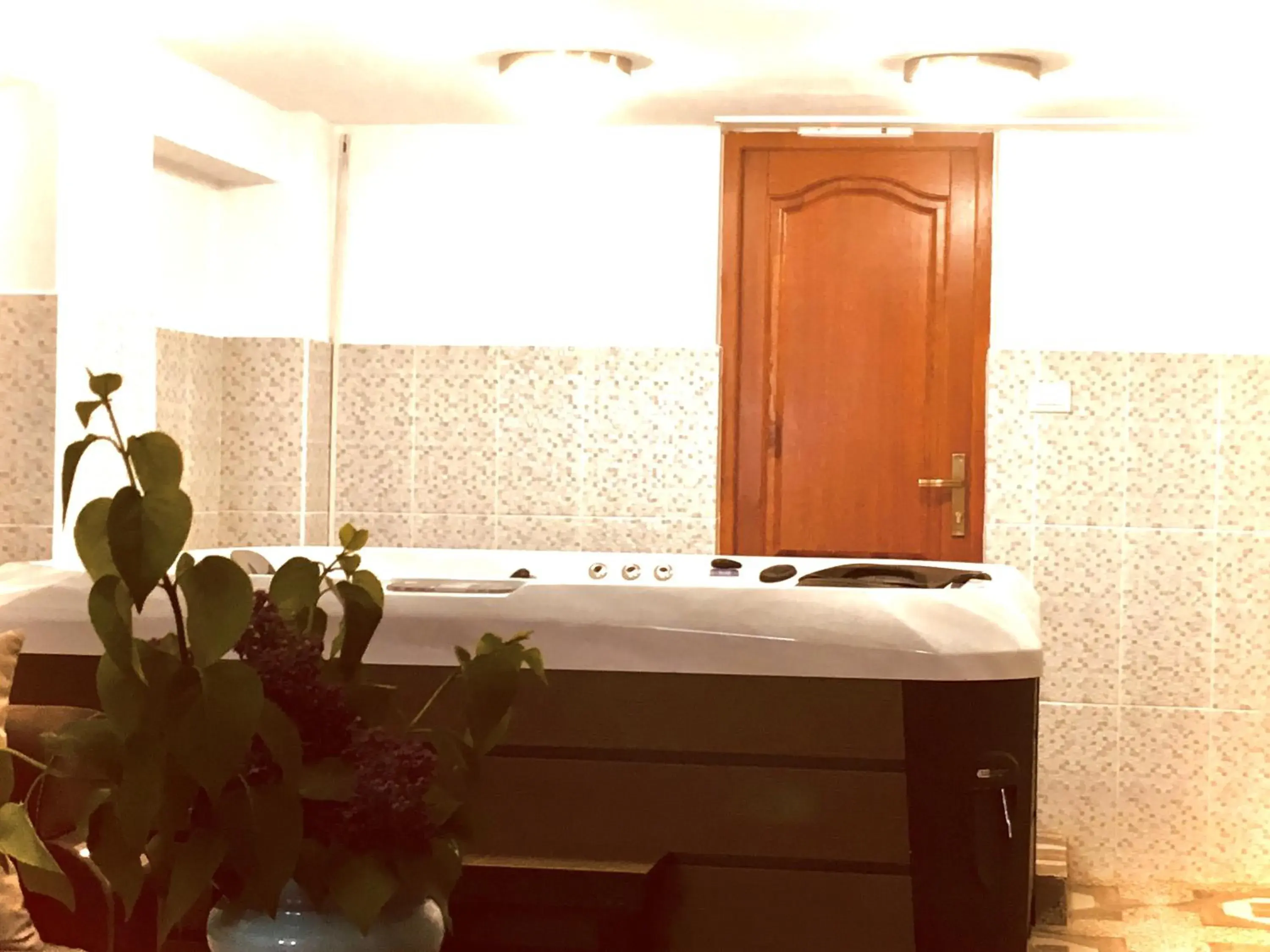 Swimming pool in Leaganul Bucovinei Guest House Swimming pool in Leaganul Bucovinei Guest House