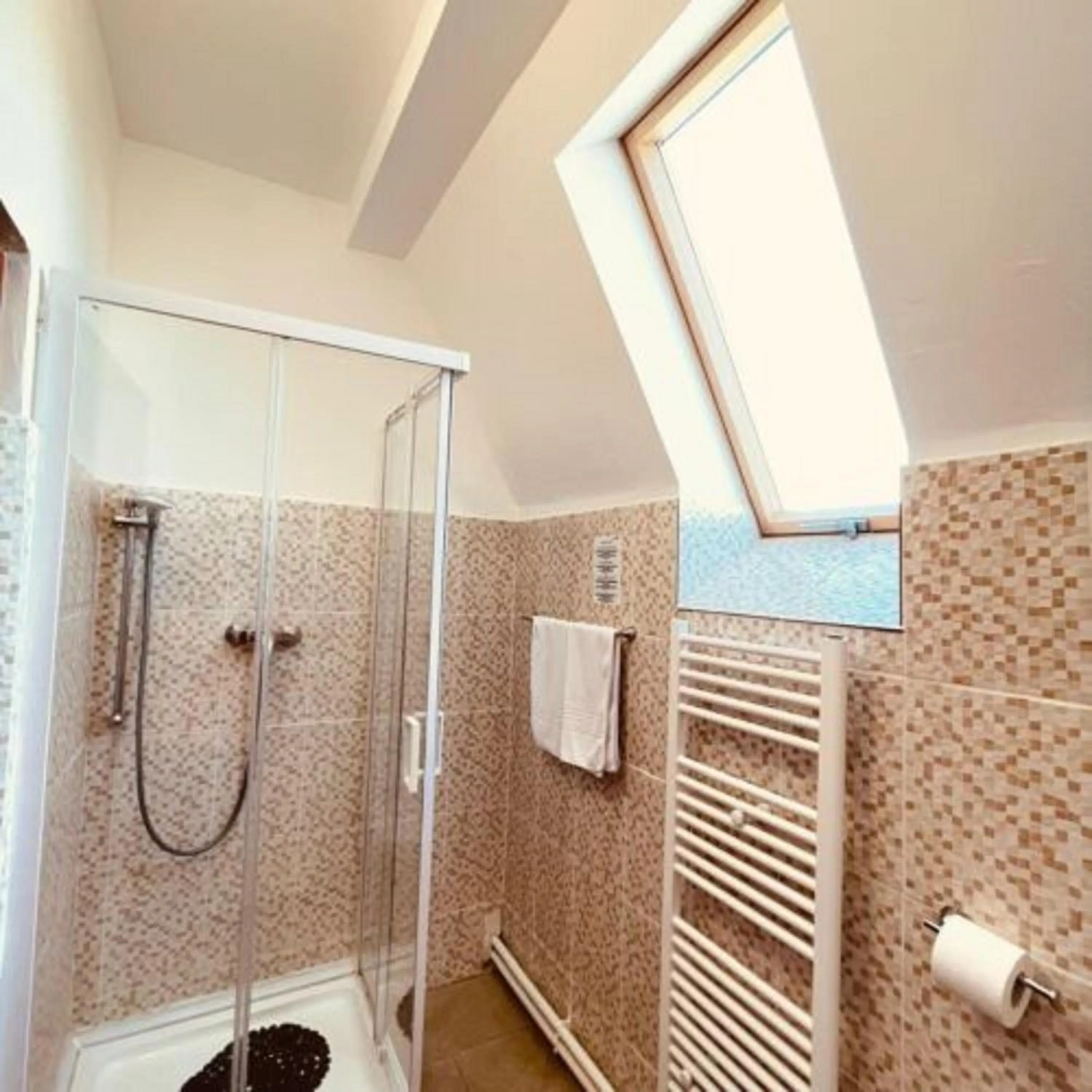 Bathroom in Leaganul Bucovinei Guest House