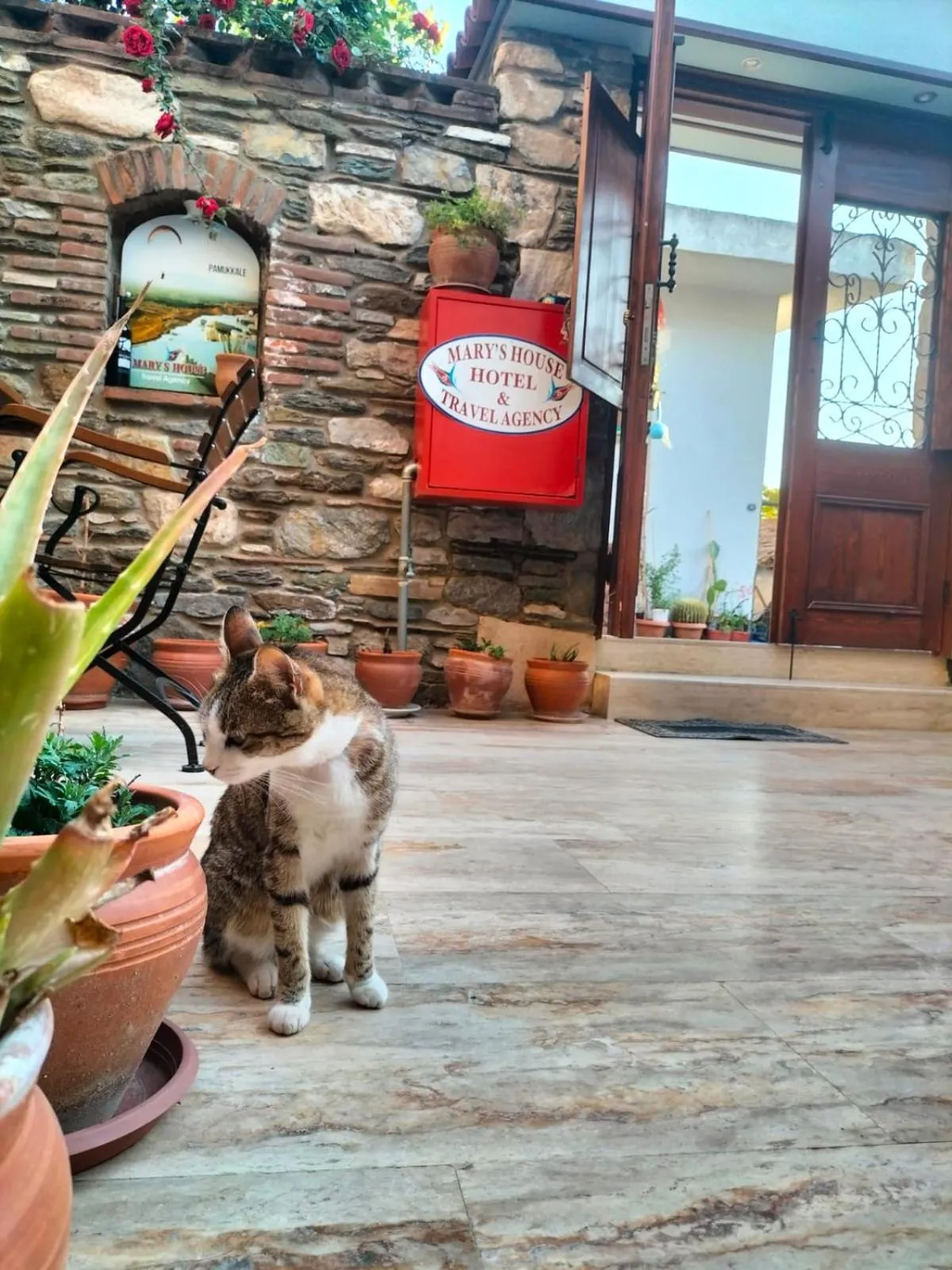 Garden in Hotel Mary's House