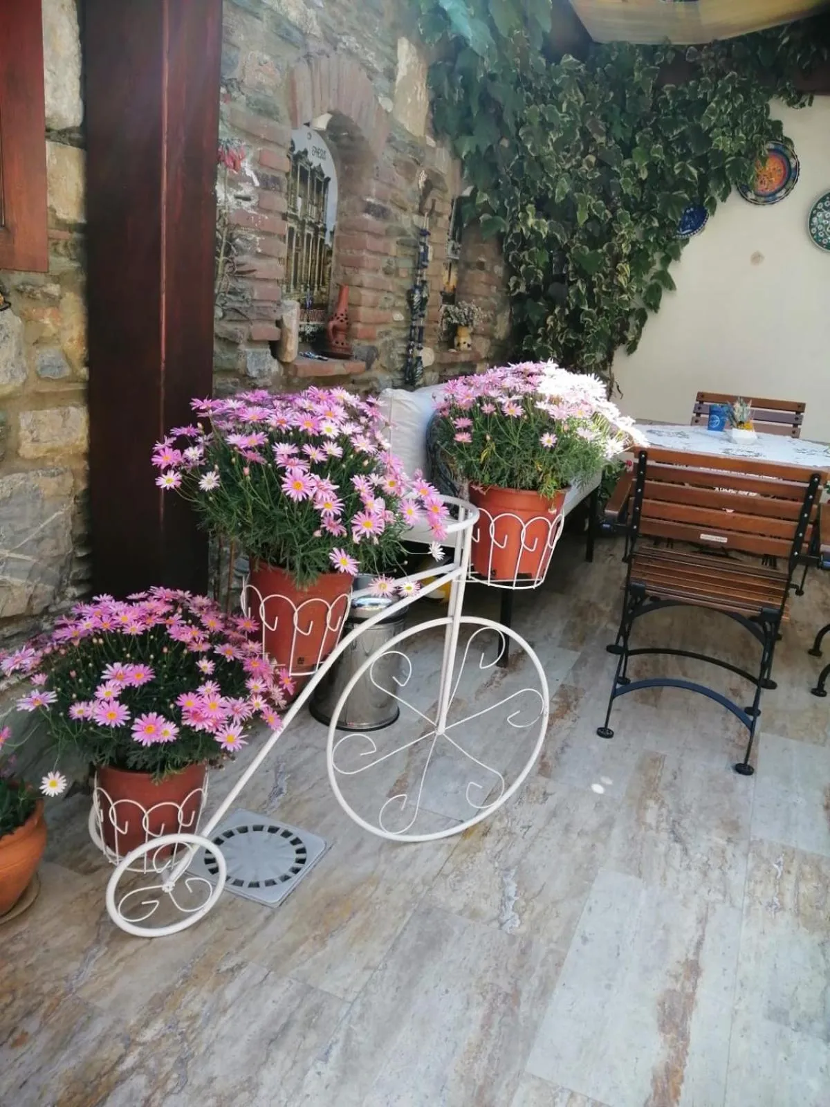 Garden in Hotel Mary's House