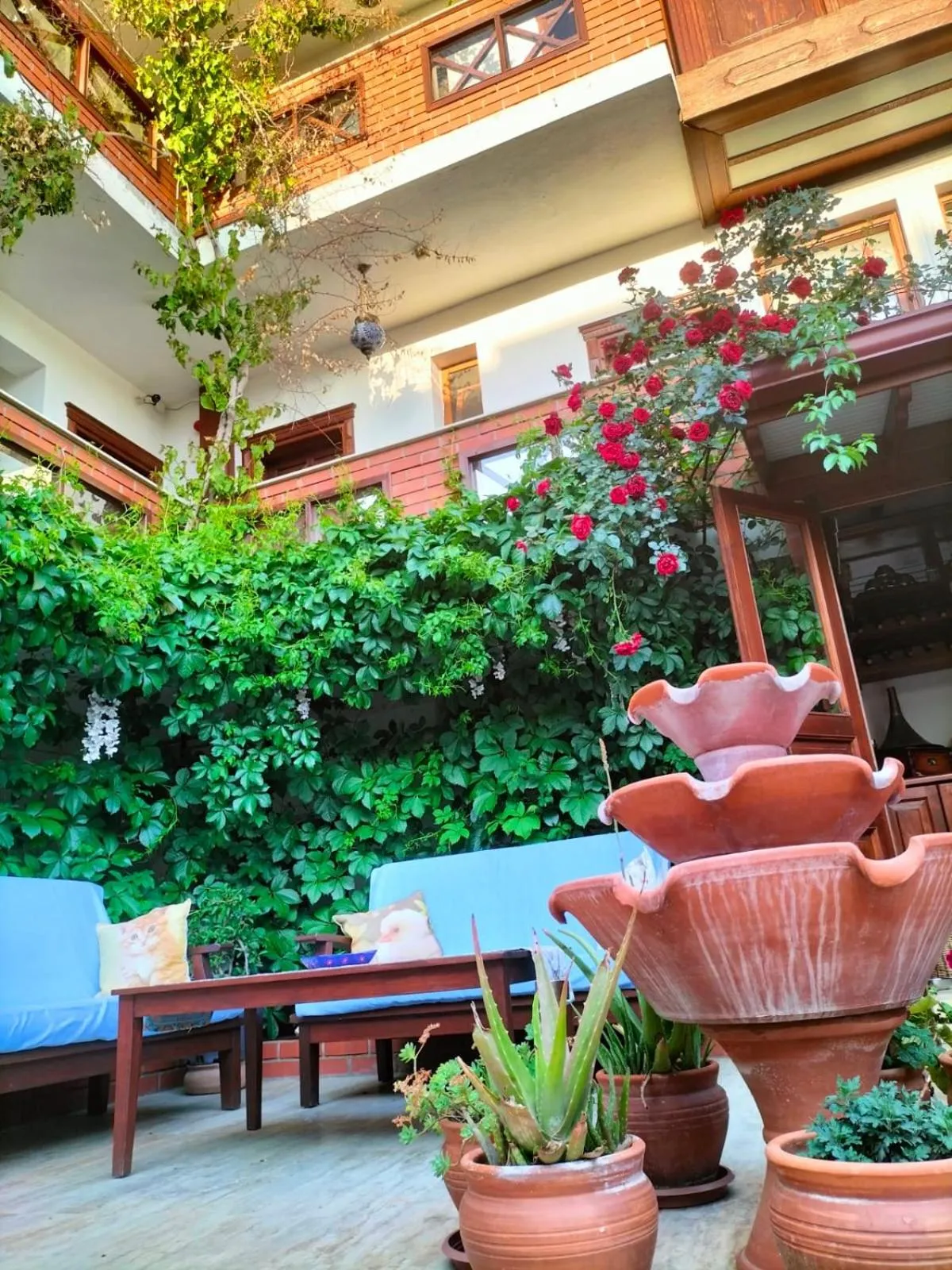 Garden in Hotel Mary's House