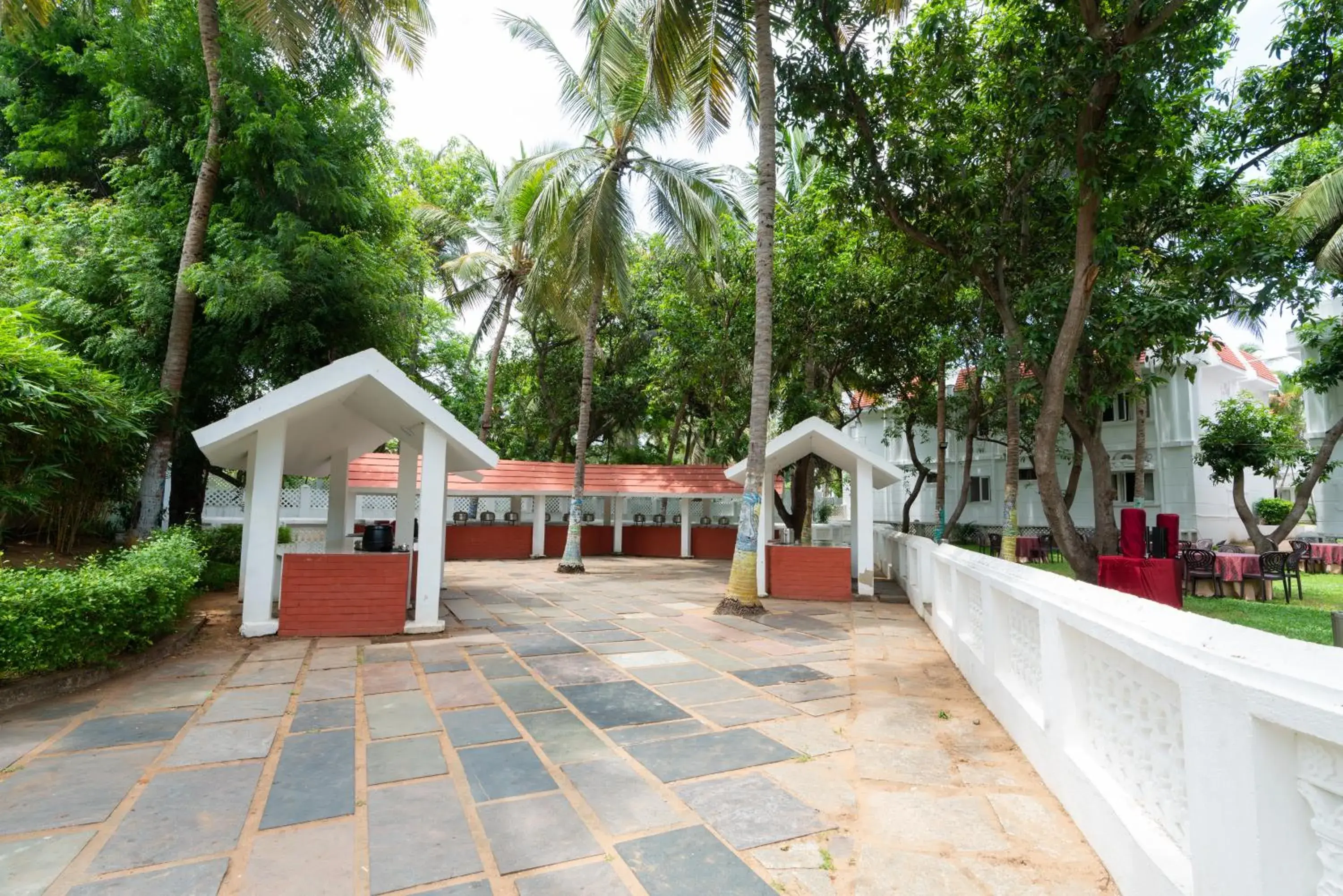 Garden view in Shelter Beach Resort Garden view in Shelter Beach Resort