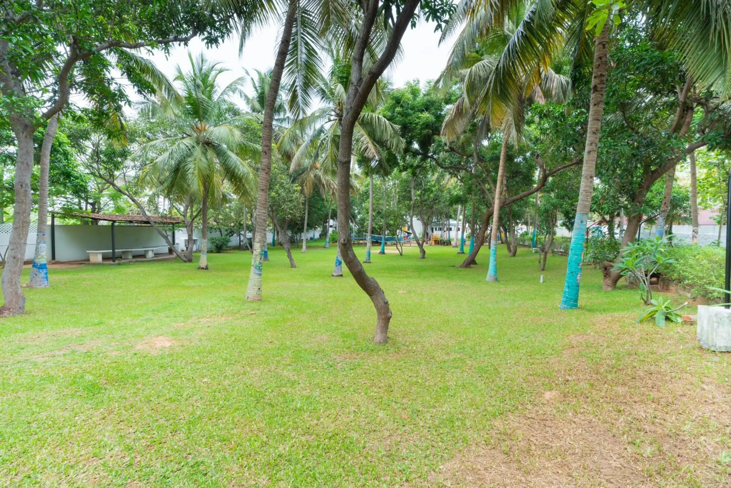 Garden view in Shelter Beach Resort Garden view in Shelter Beach Resort