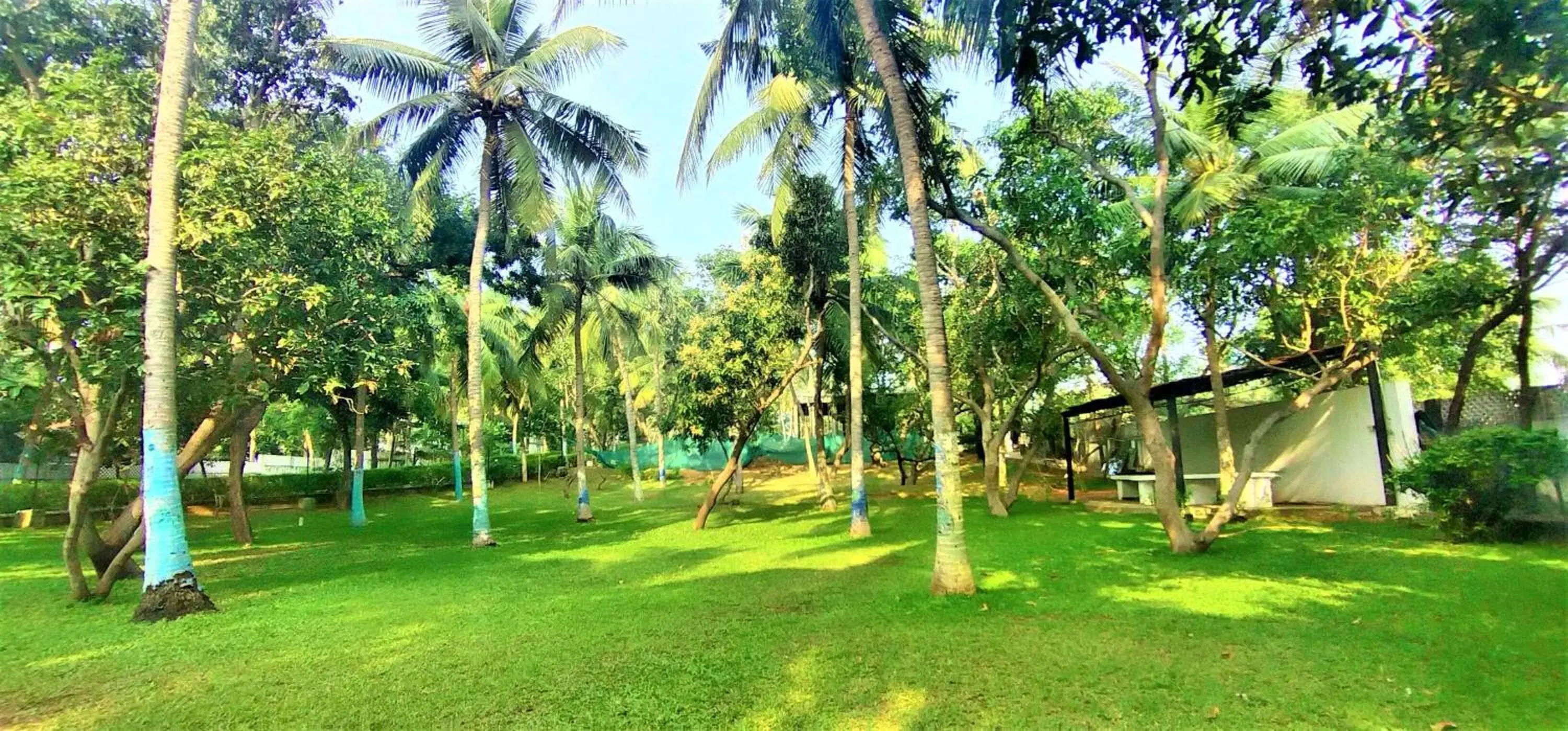 Garden view in Shelter Beach Resort Garden view in Shelter Beach Resort