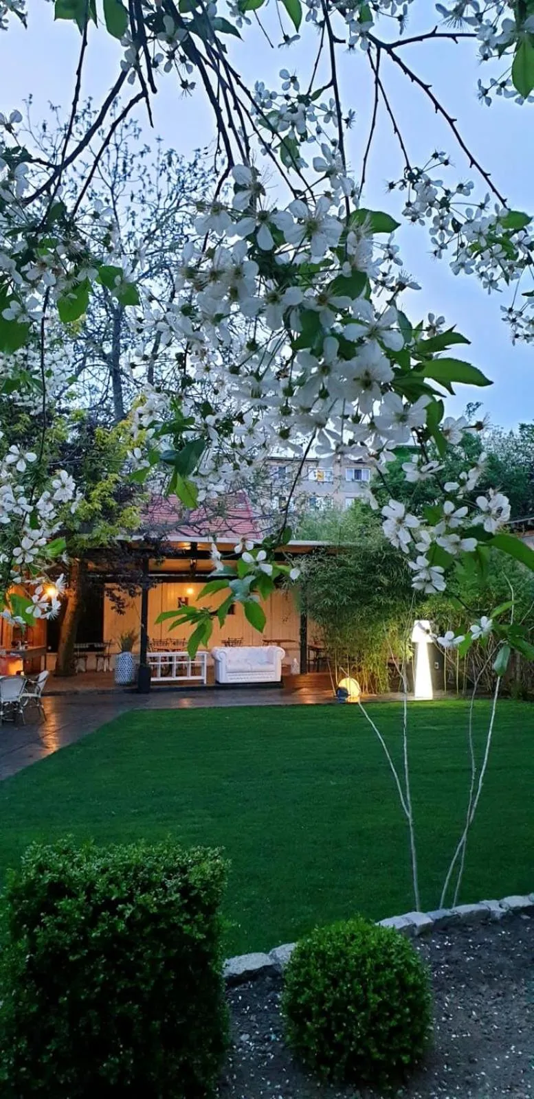 Garden in Hotel Vanilla