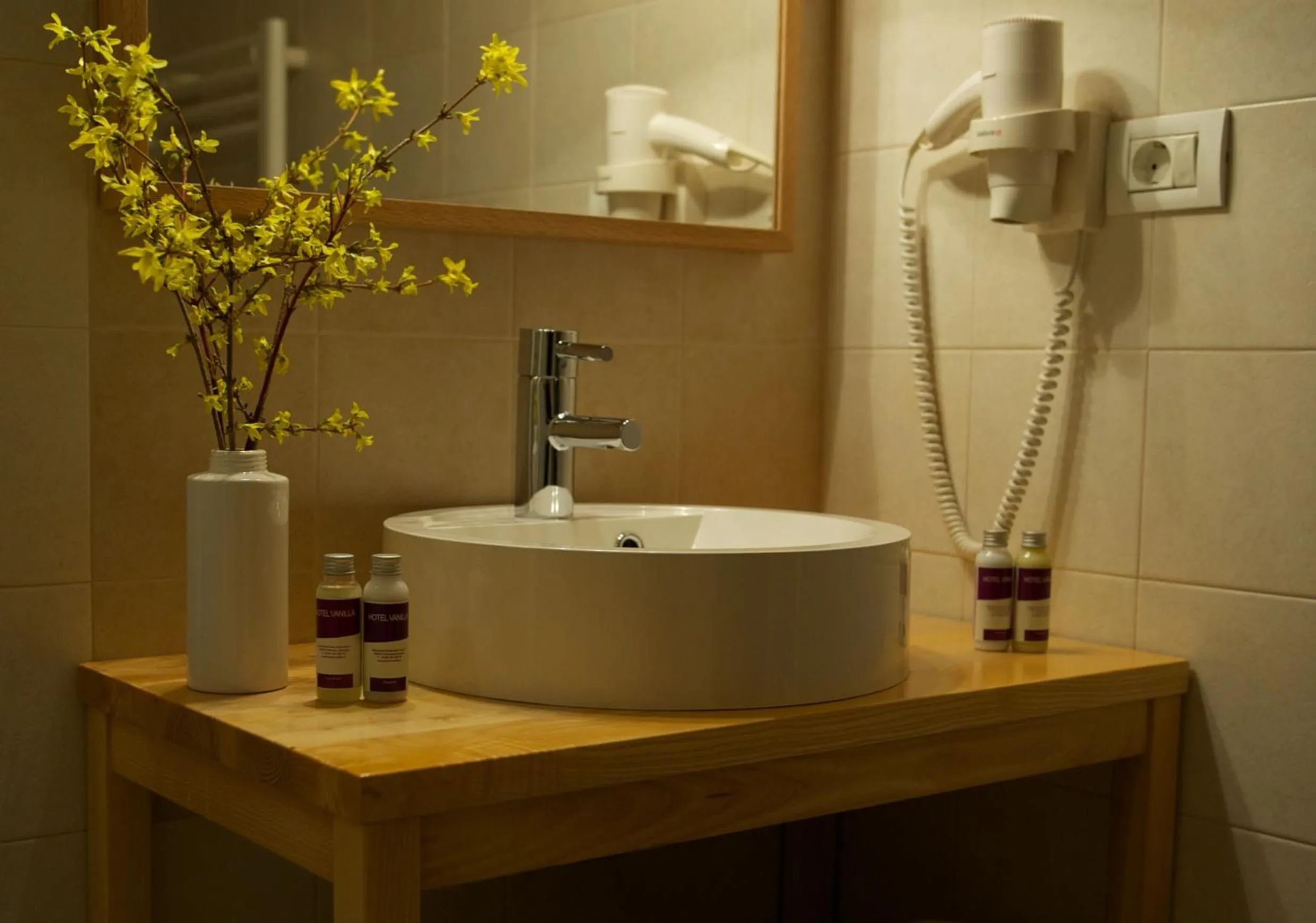 Bathroom in Hotel Vanilla