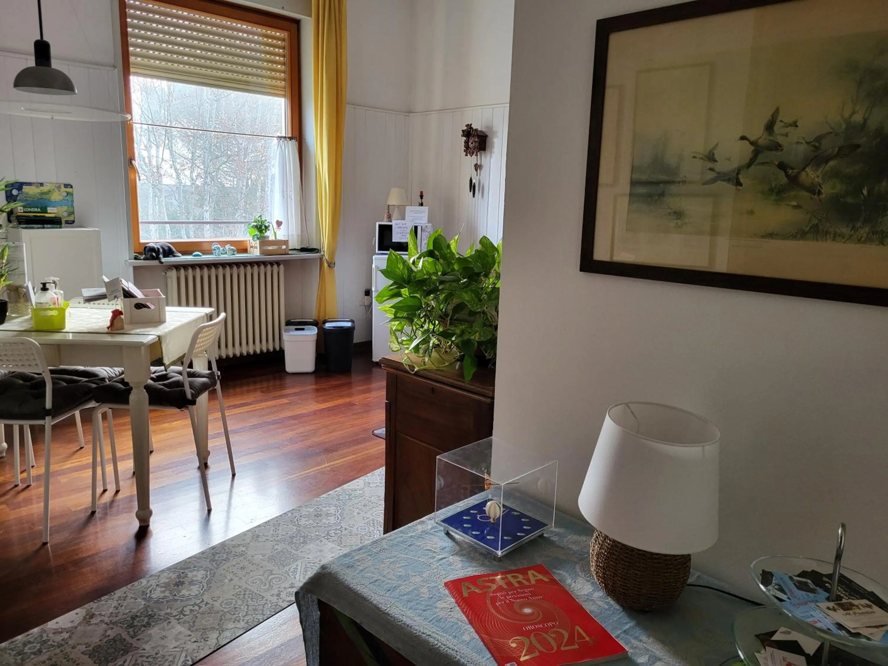 B&B Bondi