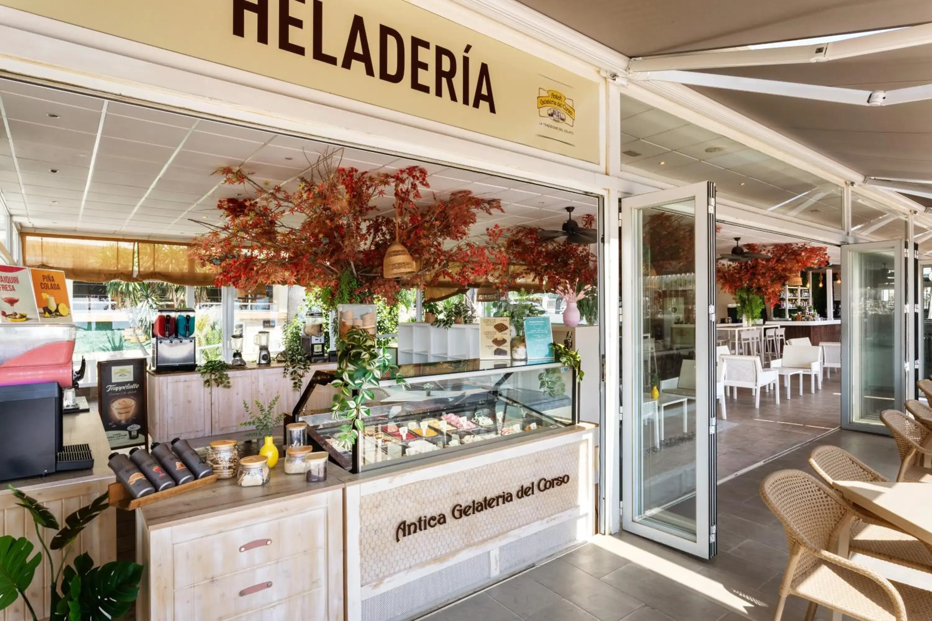 Restaurant/places to eat in Sol Puerto Marina Restaurant/places to eat in Sol Puerto Marina