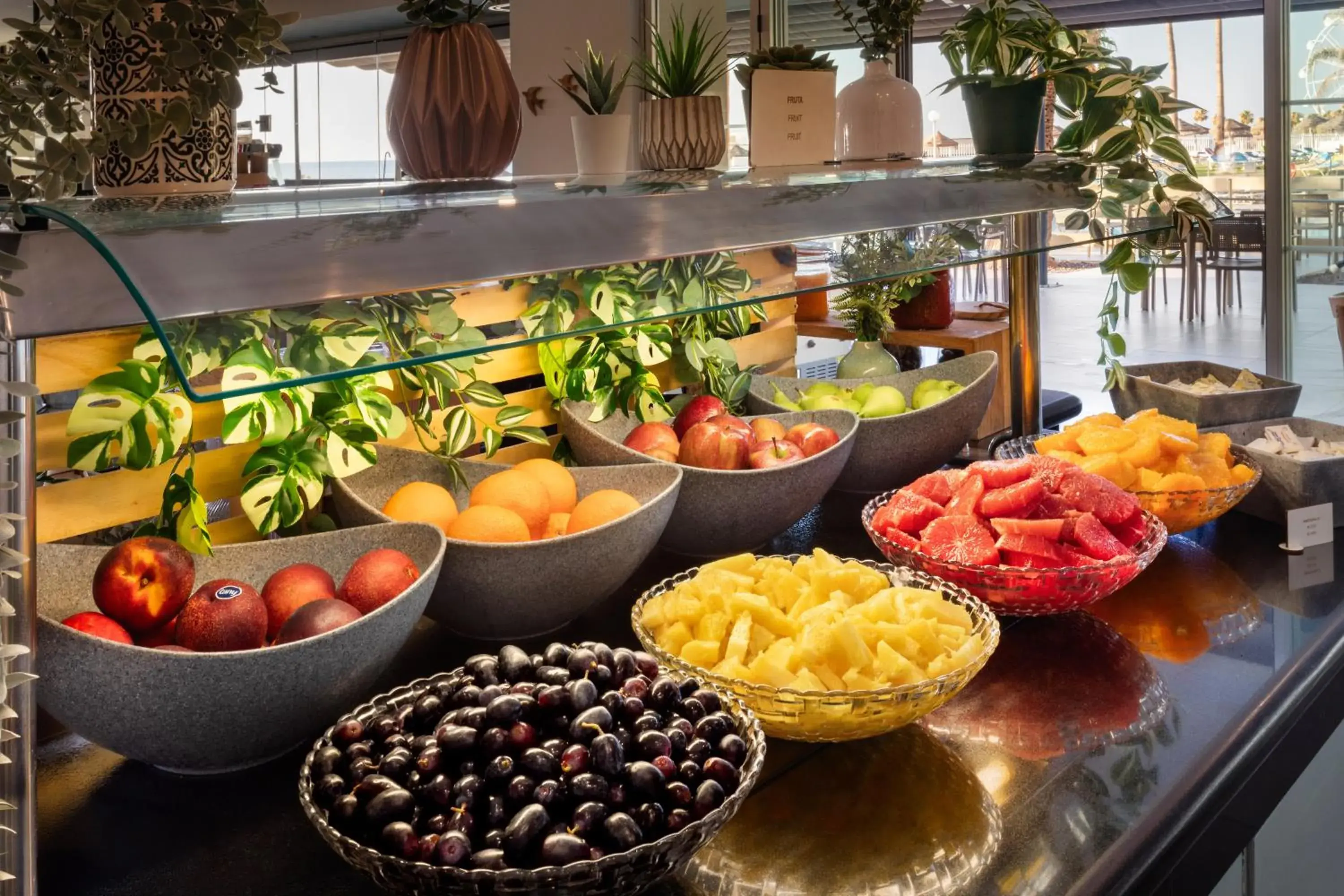 Food and drinks in Sol Puerto Marina Food and drinks in Sol Puerto Marina