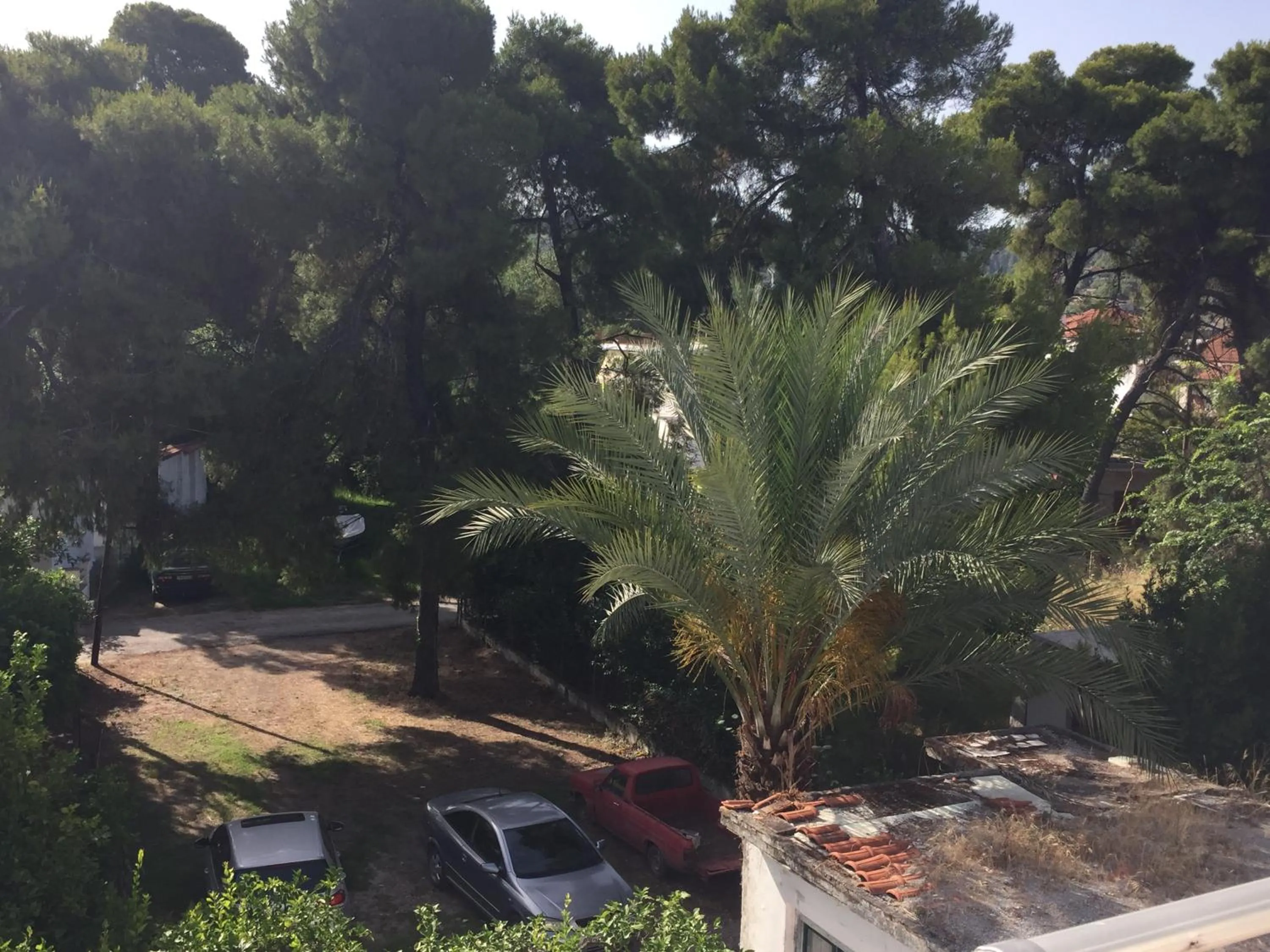 Double Room with Mountain View - single occupancy in Mirtia Hotel