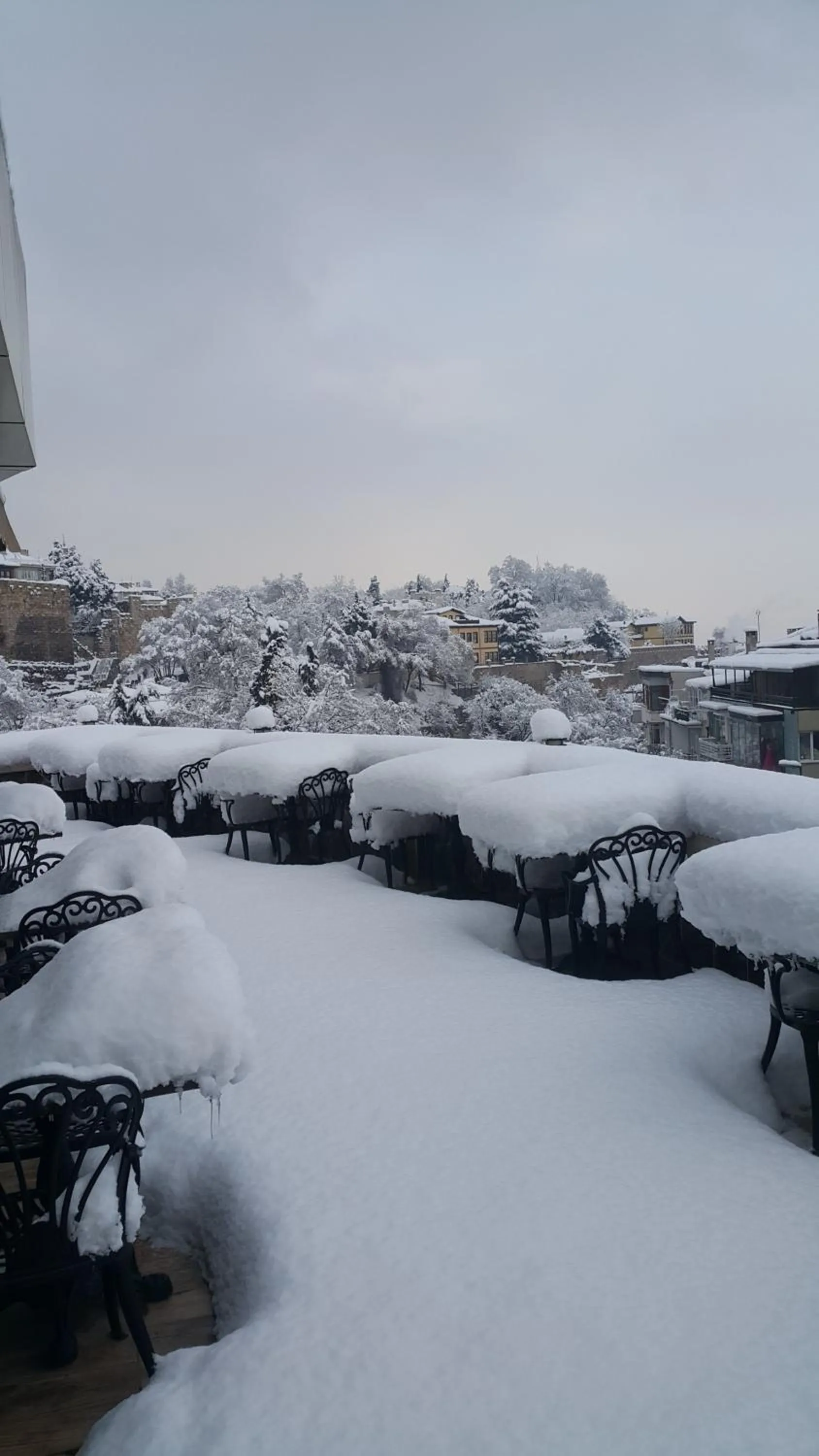 Natural landscape in Waha Hotel