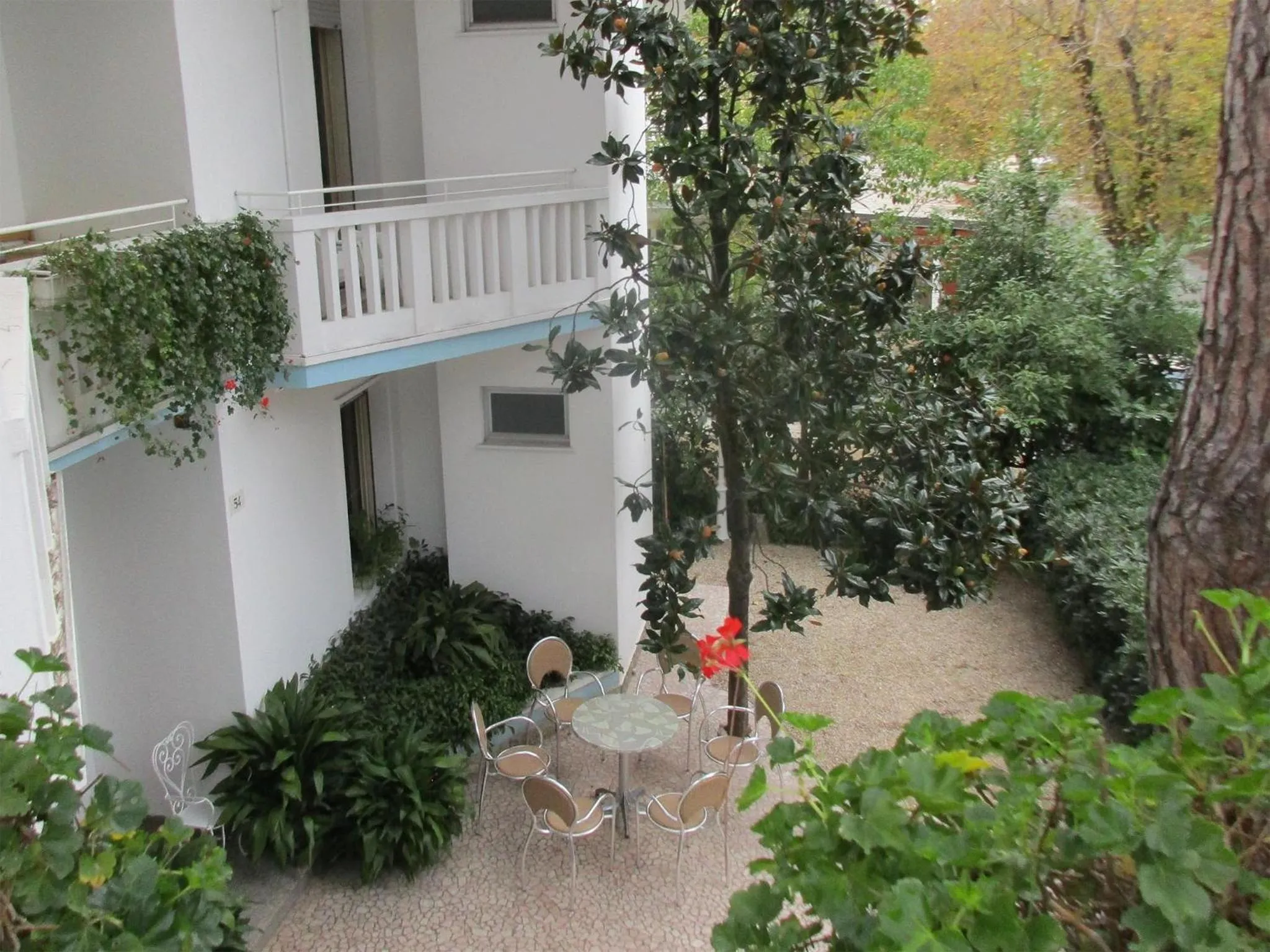 Garden in Hotel Pensione Ornella