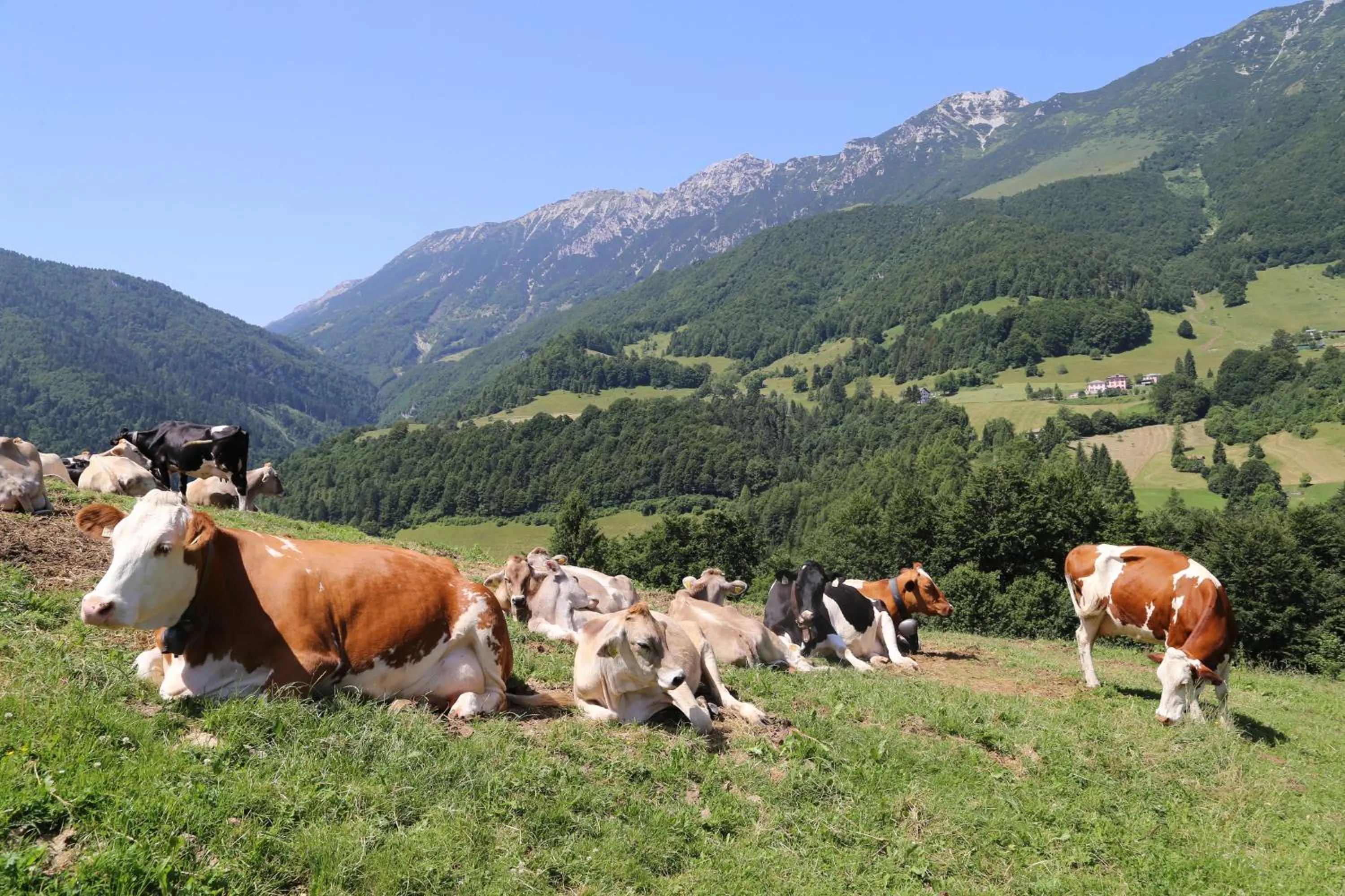 Hiking in Albergo Alpino da Tullio