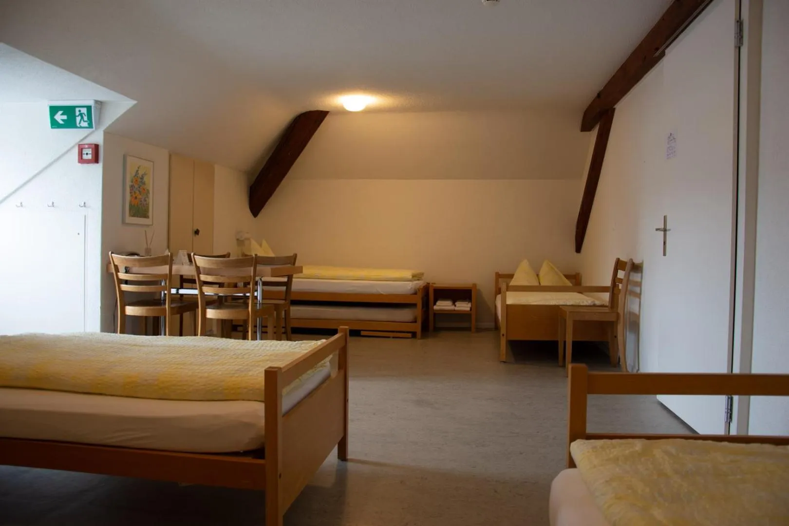 Photo of the whole room in Hostel Eckstein