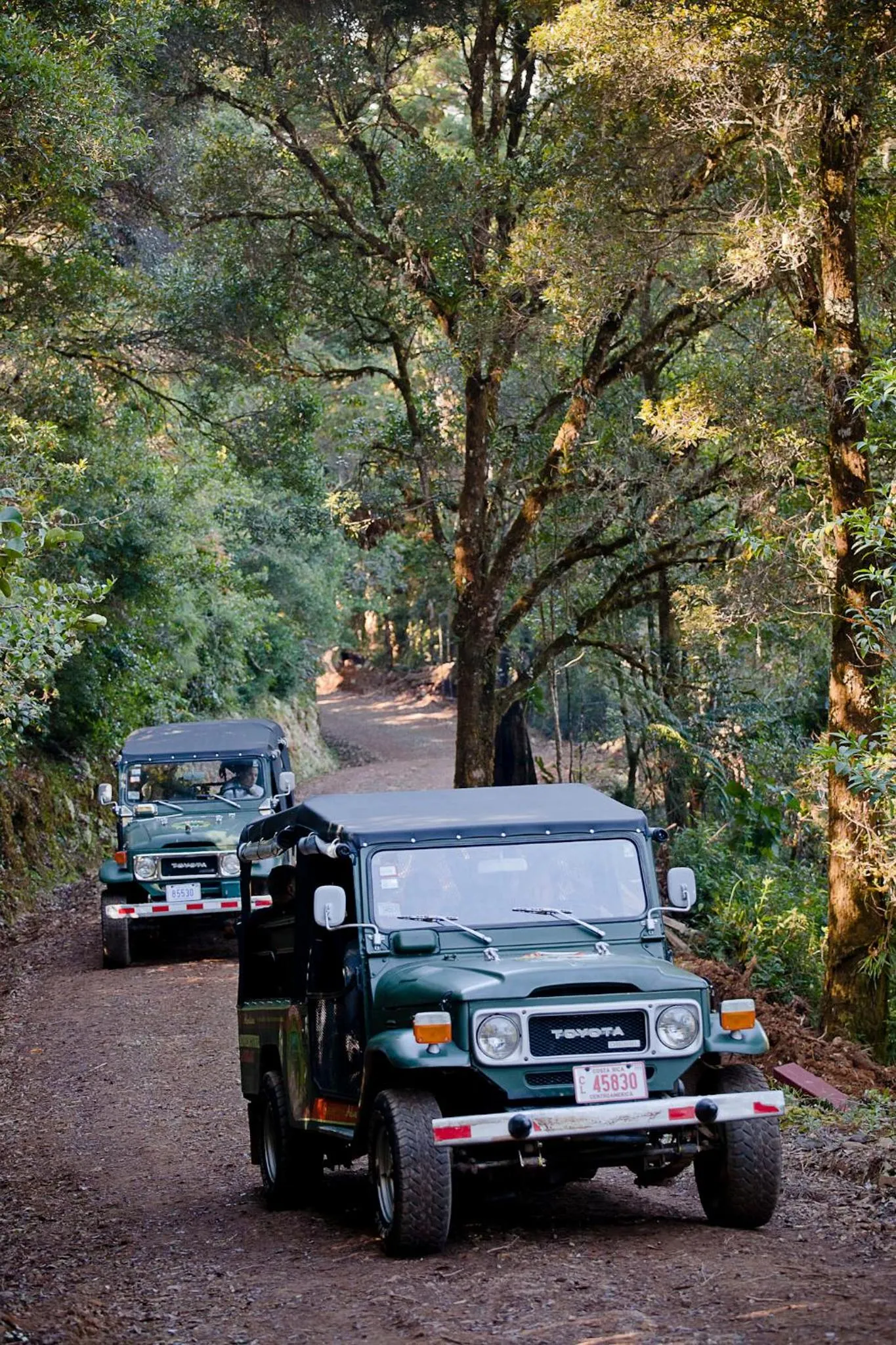 Activities in Savegre Hotel Natural Reserve & Spa