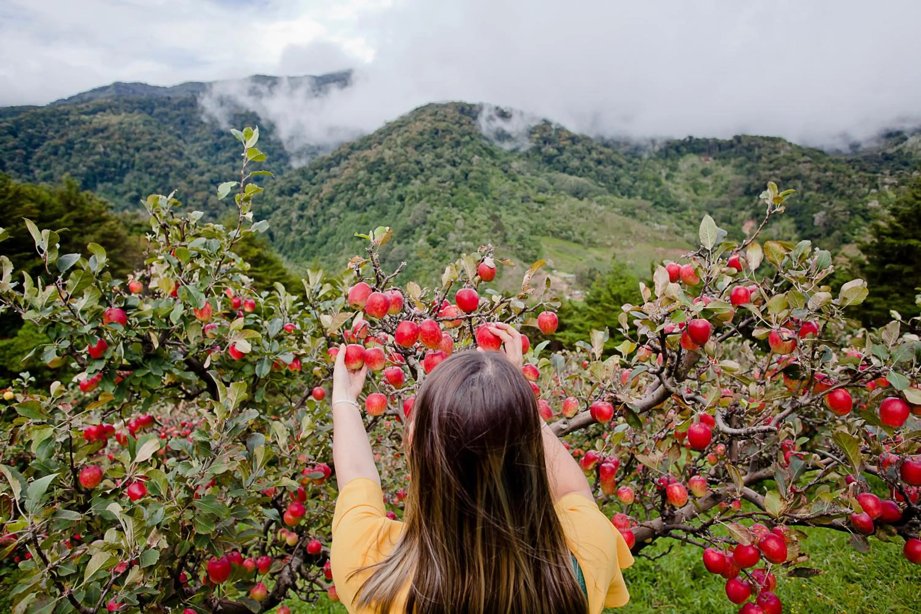 Activities in Savegre Hotel Natural Reserve & Spa