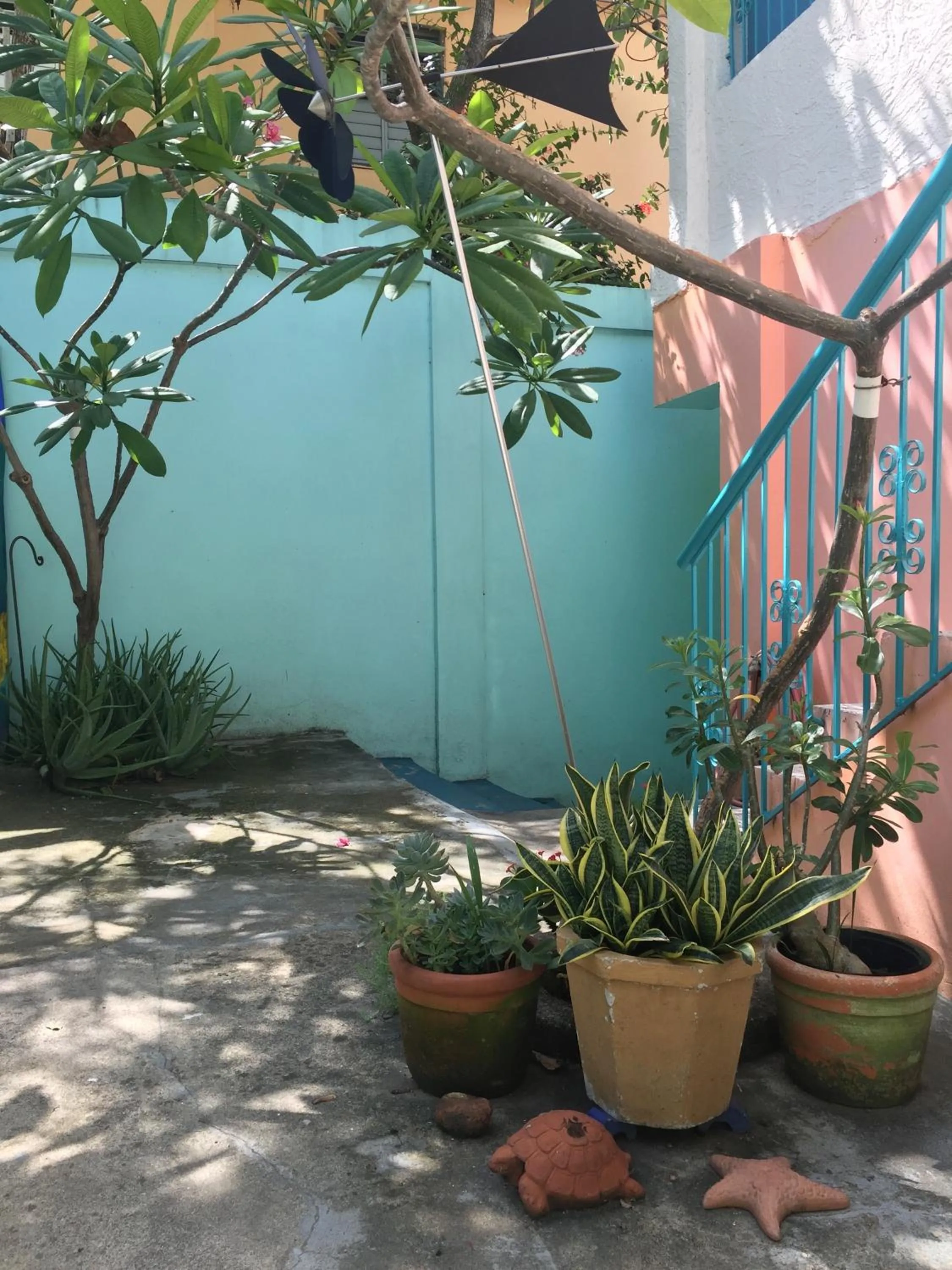 Patio in Casa Azul - Apartment