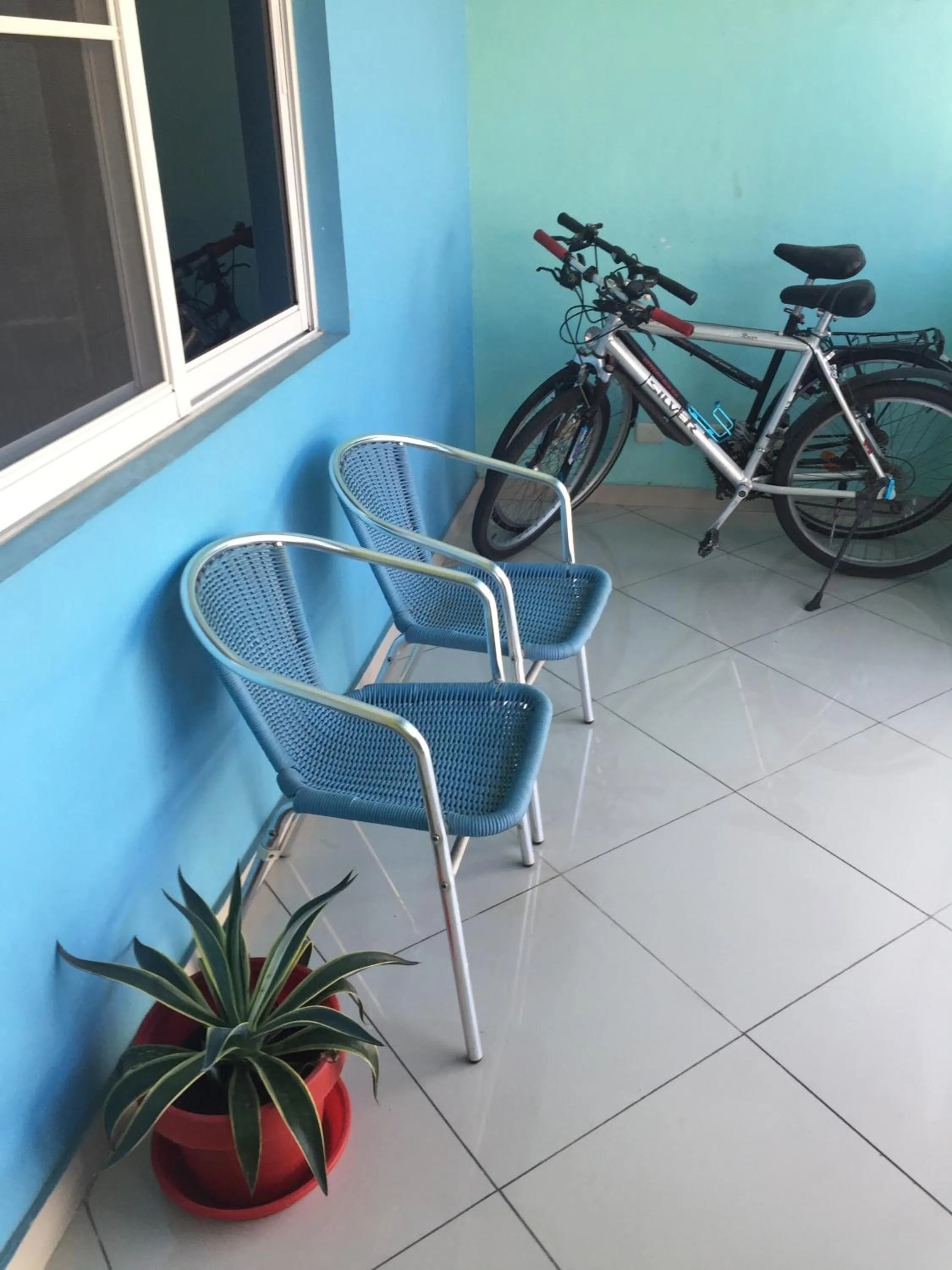 Activities in Casa Azul - Apartment