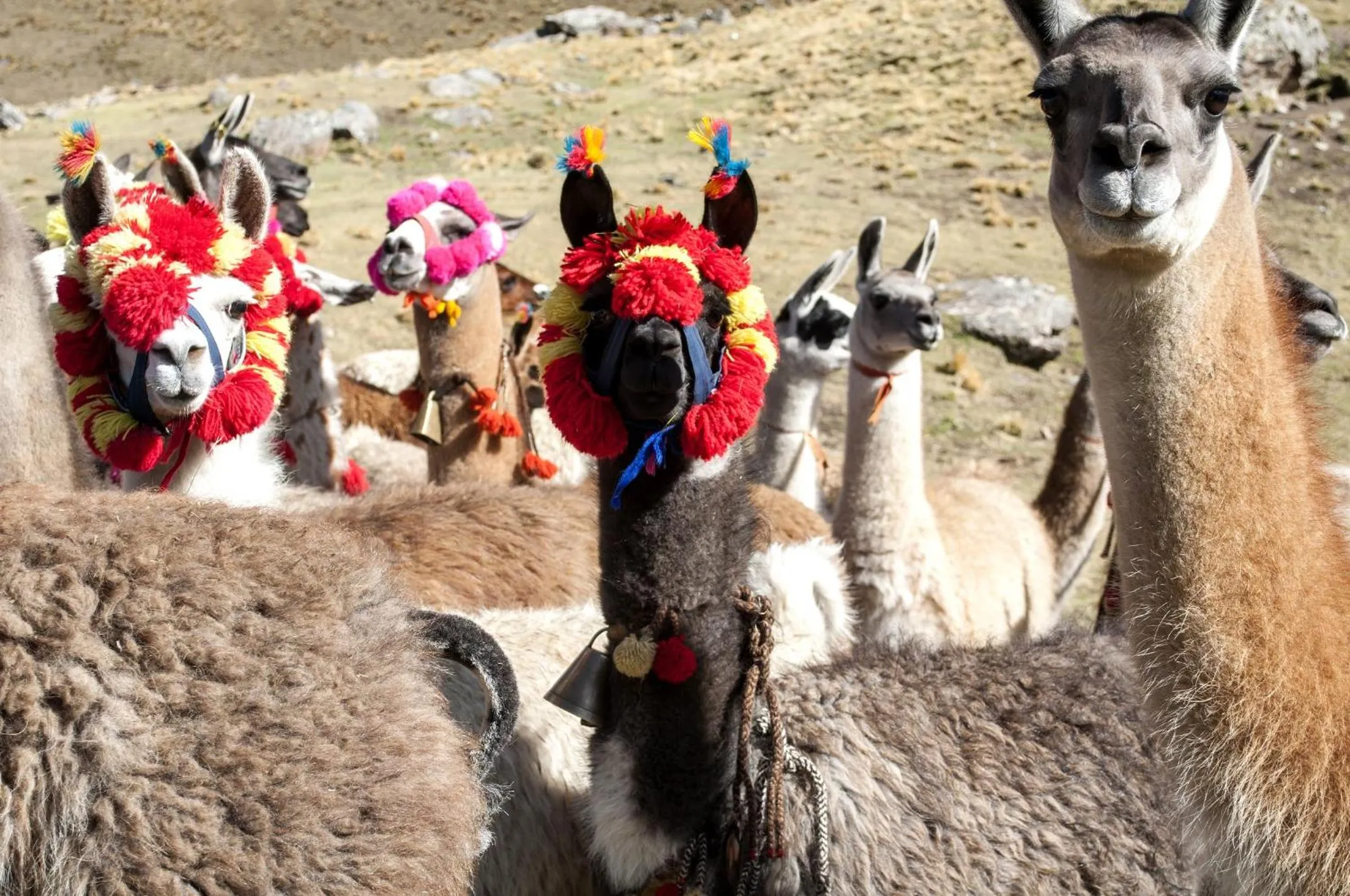 Hotel Gran Palma Huancayo