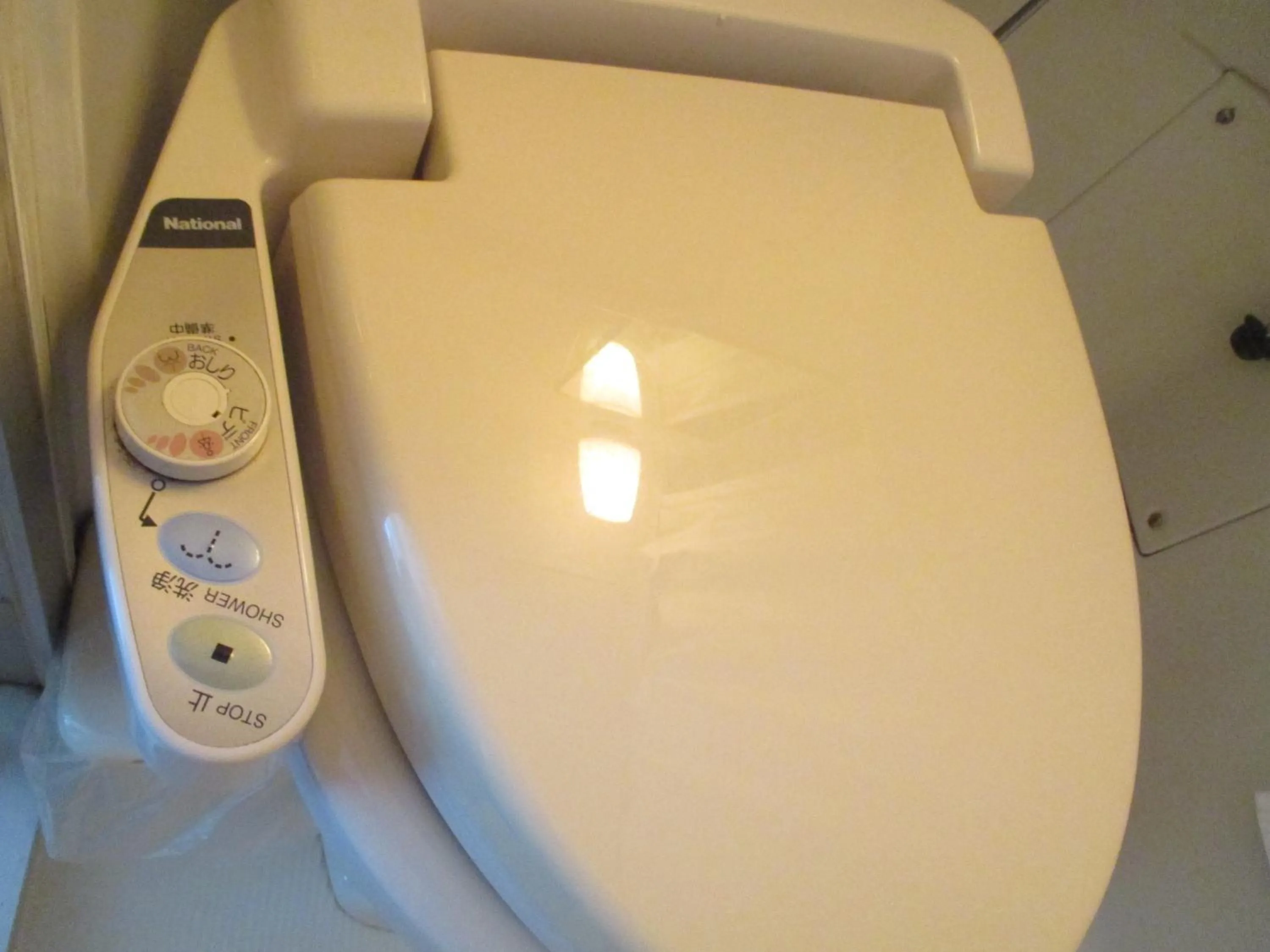 Toilet in Hotel Green Well