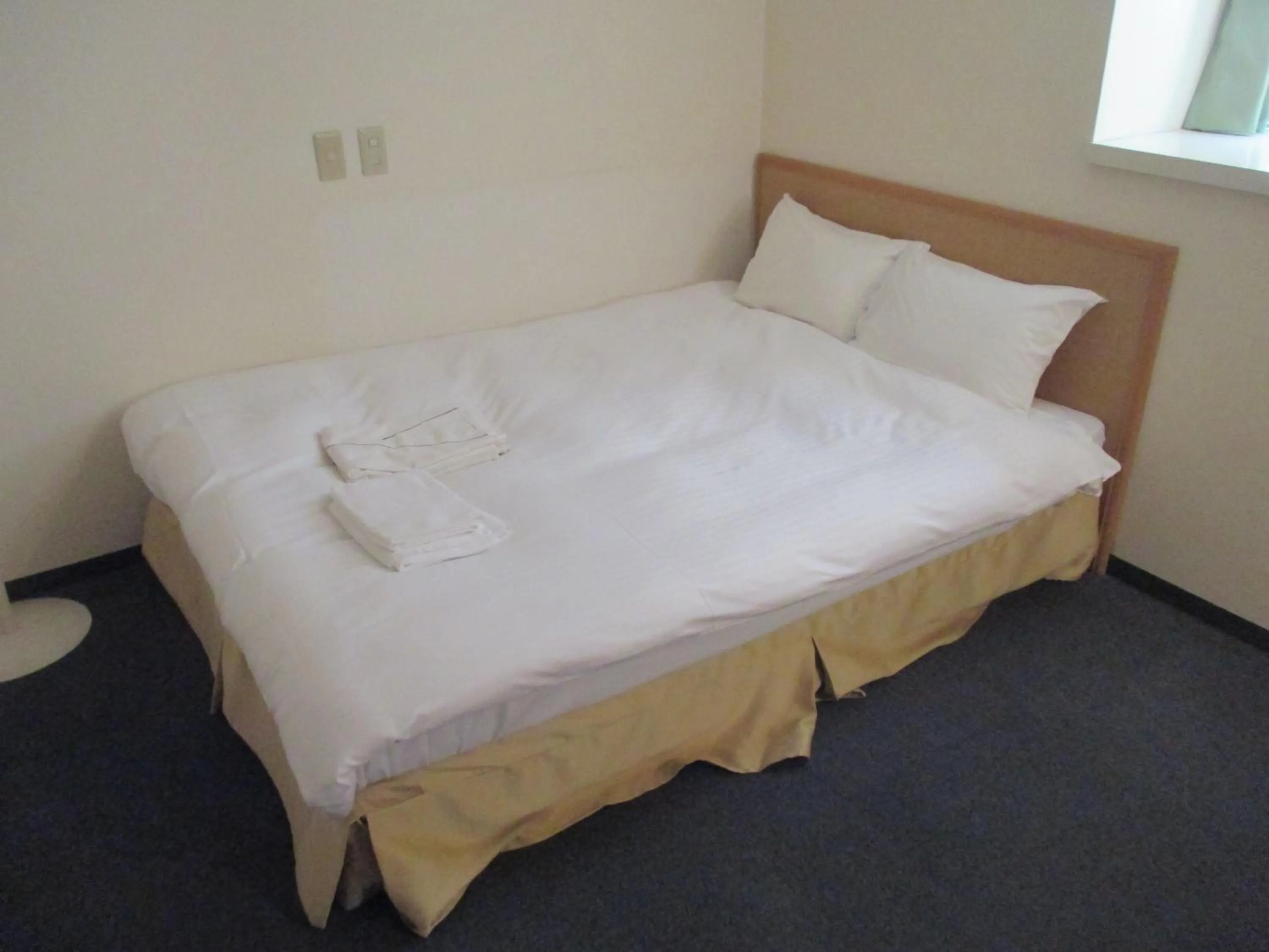 Bed in Hotel Green Well