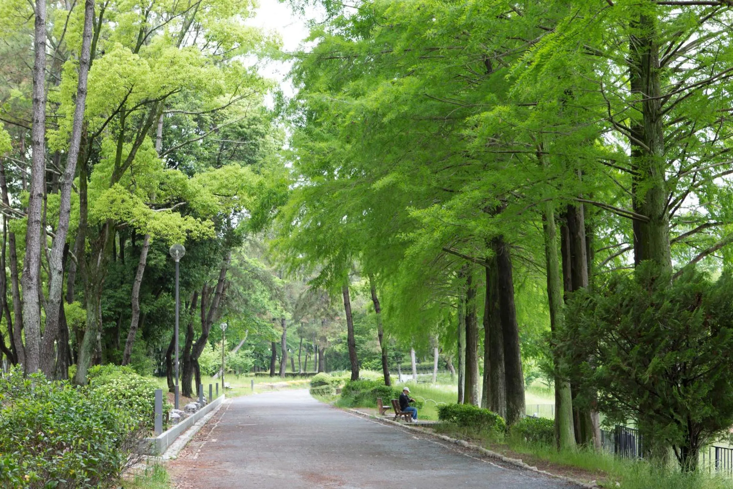 Off site in Minamisenri Crystal Hotel