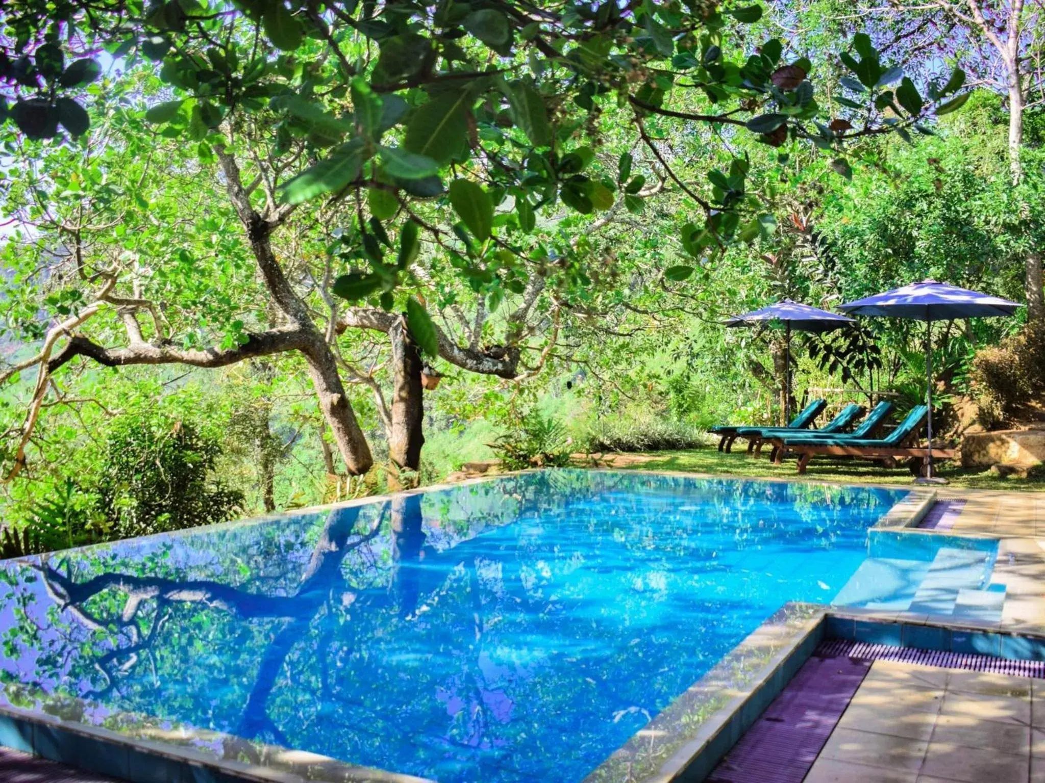Swimming pool in Aqua Dunhinda Villa Swimming pool in Aqua Dunhinda Villa