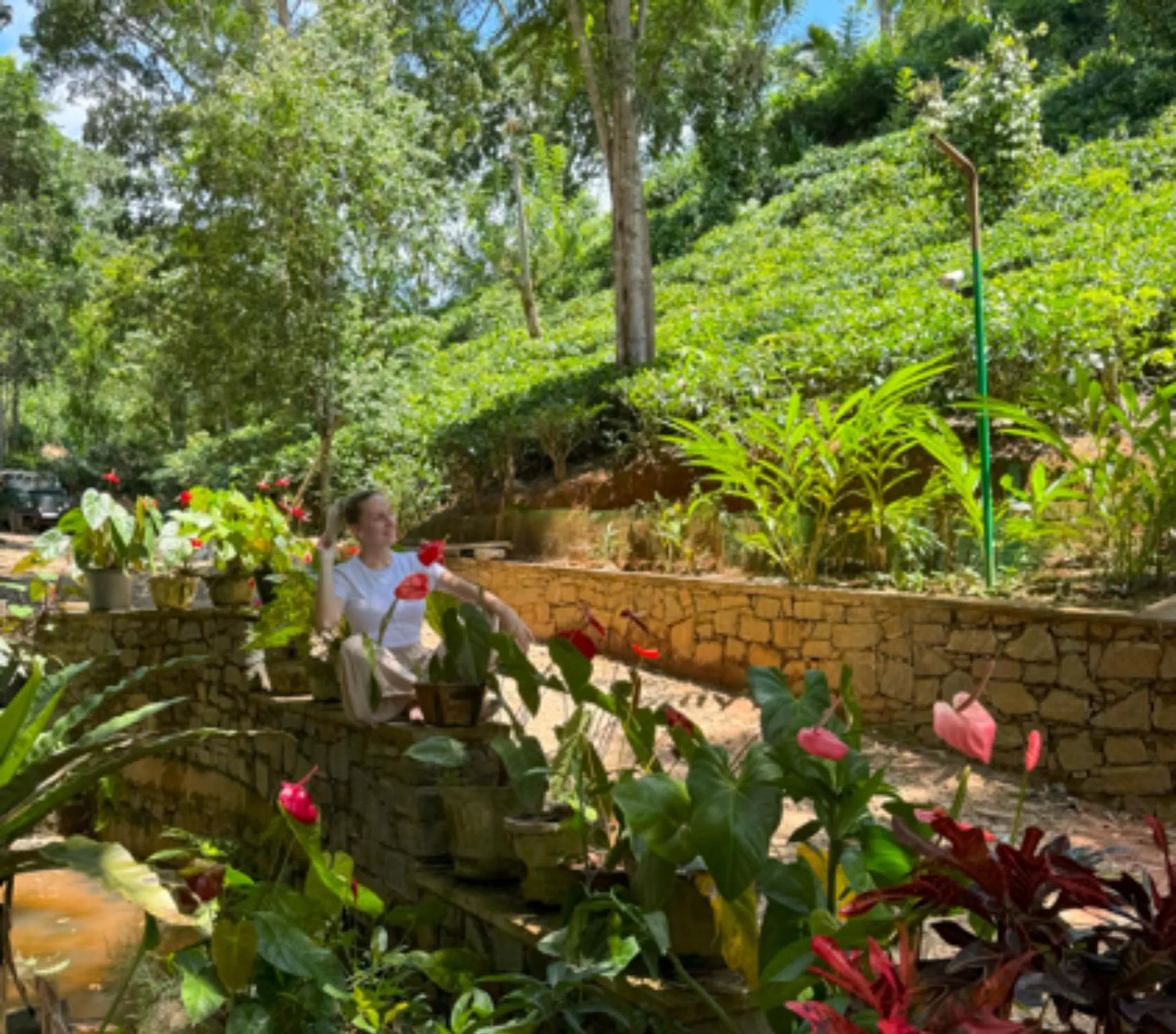 Spring in Aqua Dunhinda Villa