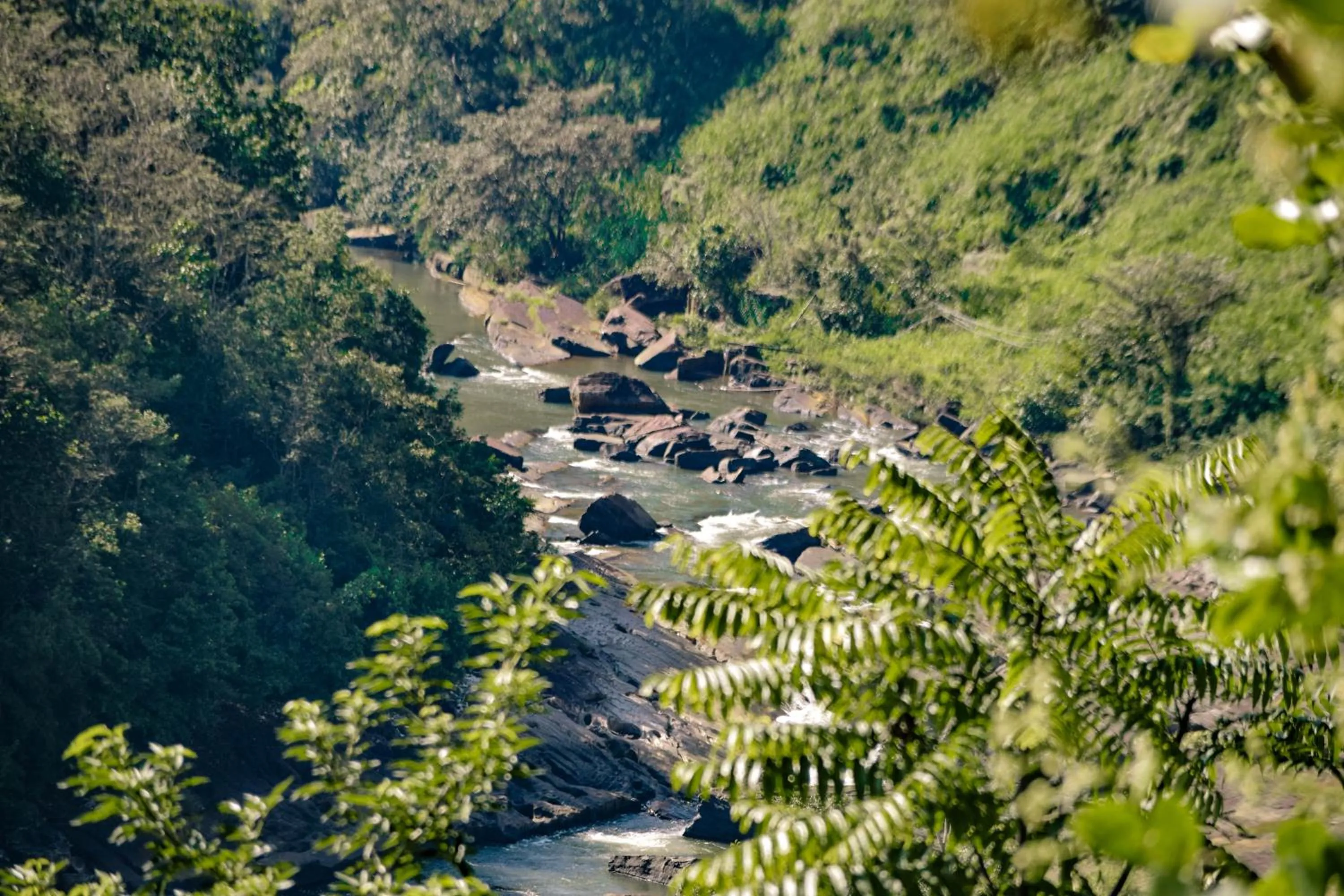 Natural landscape in Aqua Dunhinda Villa